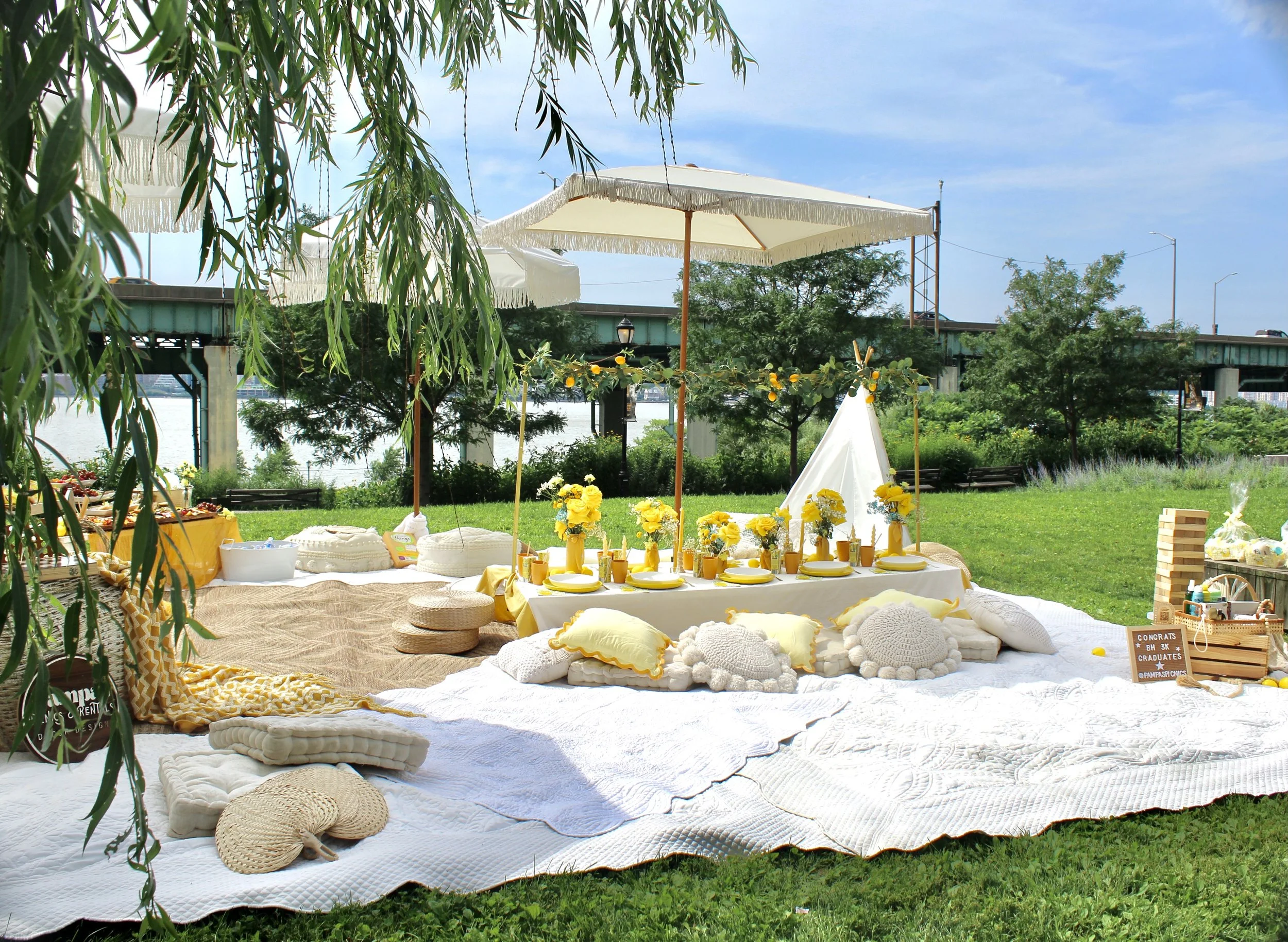 Pampas Picnics Picnic Lounge Enhancement