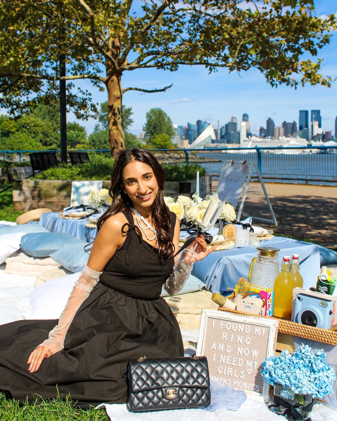 Pampas Picnics Breakfast at Tiffany's Bridesmaid Proposal Blue Picnic Inspo in DMV and NYC