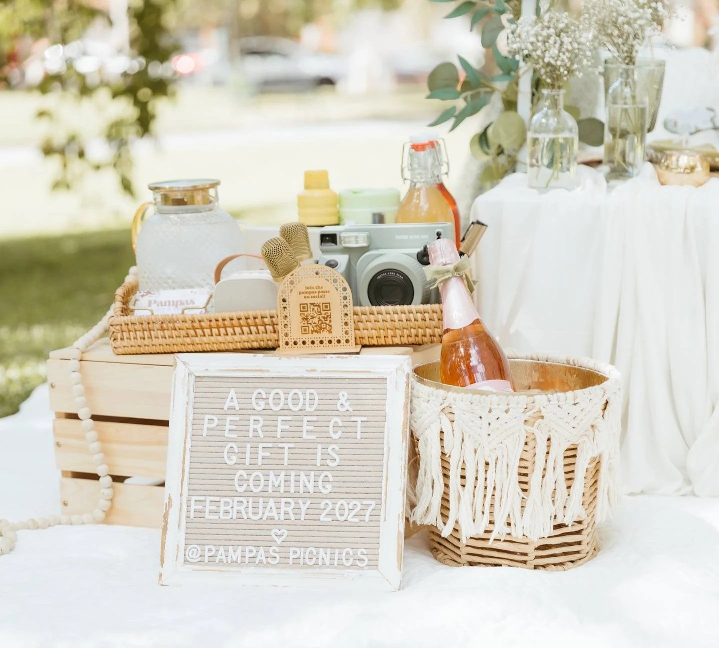 Picnic Gender Reveal Photoshoot | Pampas Picnics
