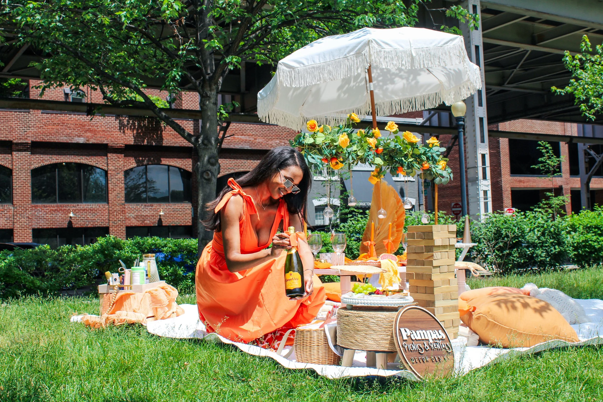 Georgetown Waterfront  Veuve Clicquot Luxury Picnic | Pampas Picnics