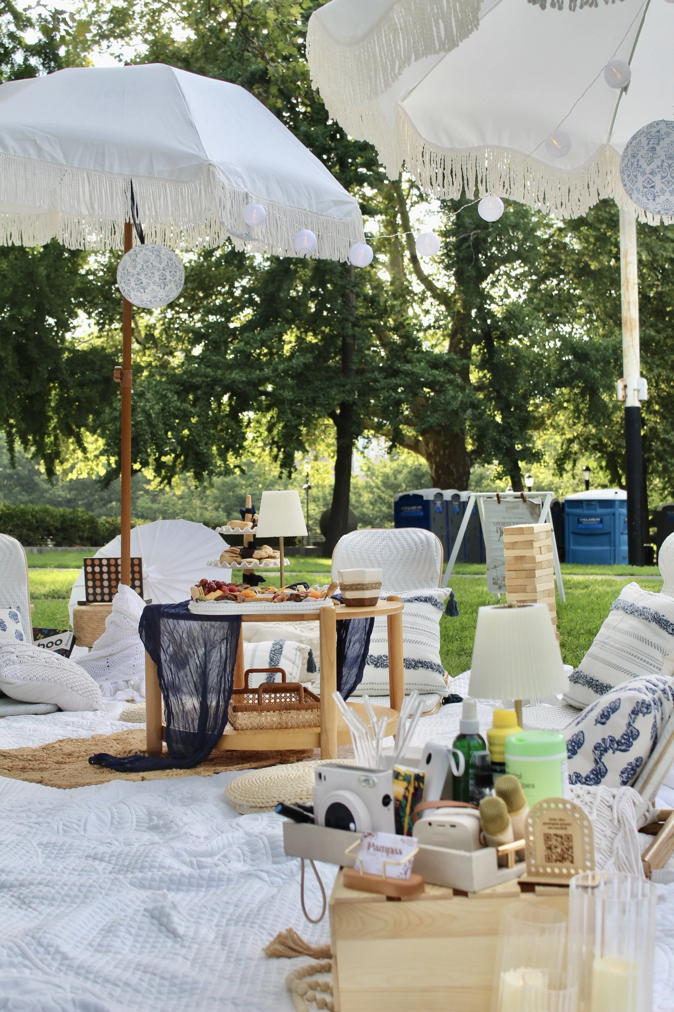 Additional Lounge Area Enhancement | Our Picnic Essentials