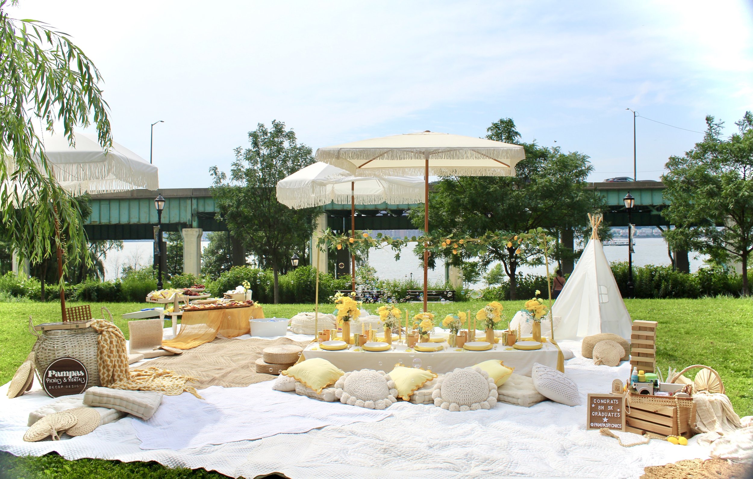 Luxury Lemon Zest Palette Graduation Picnic