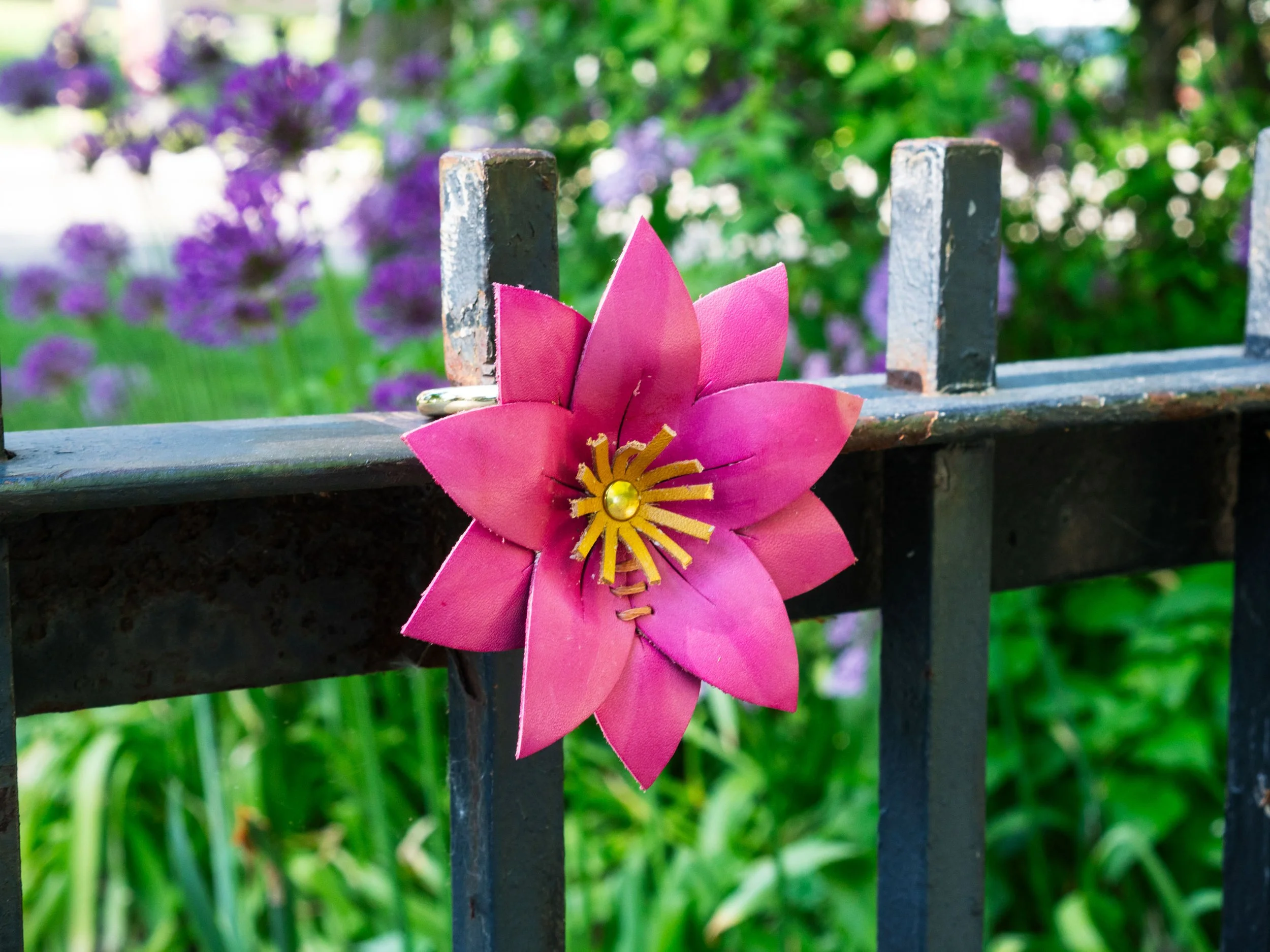 DSC02570crop.jpg