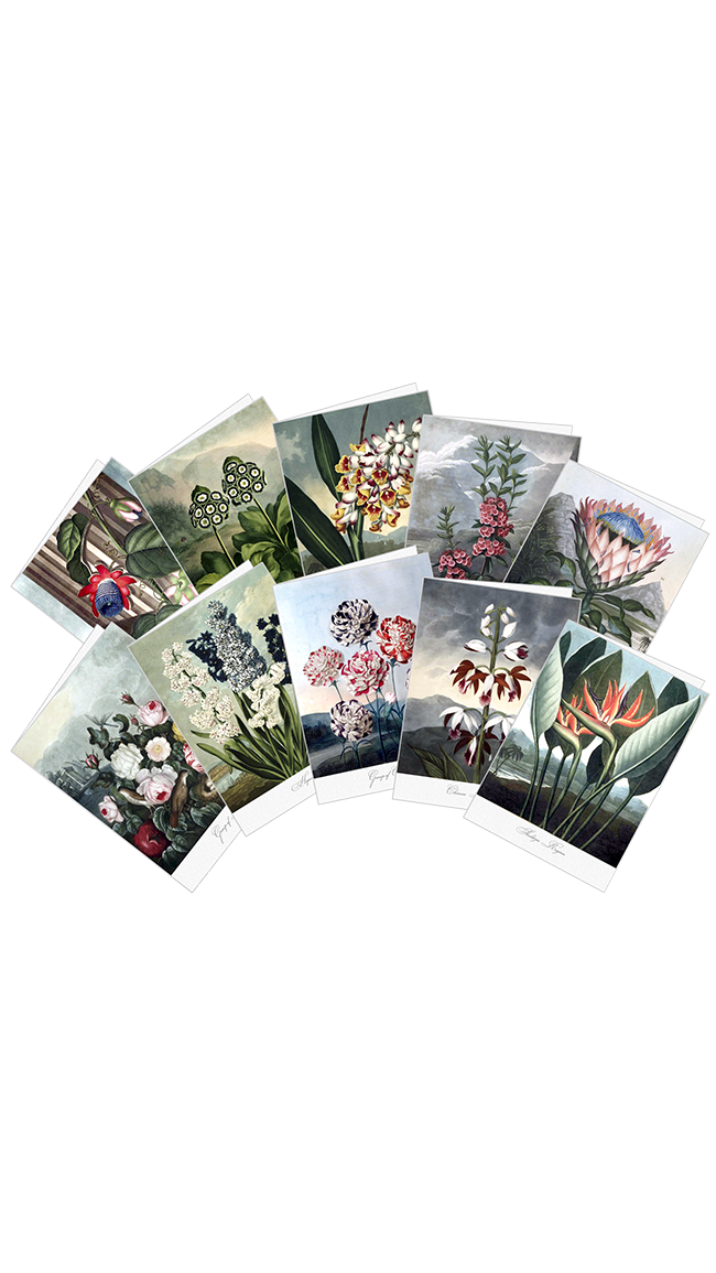TOFCII01_Set_of_10-s.png