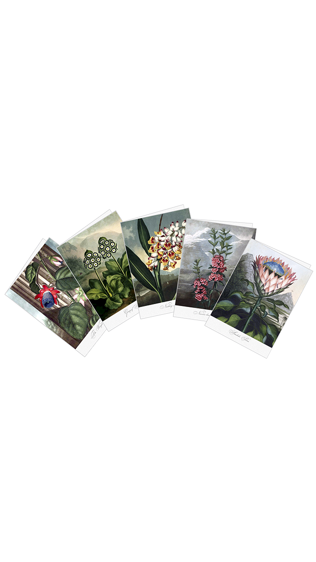 TOFCII03_SetD-s.png