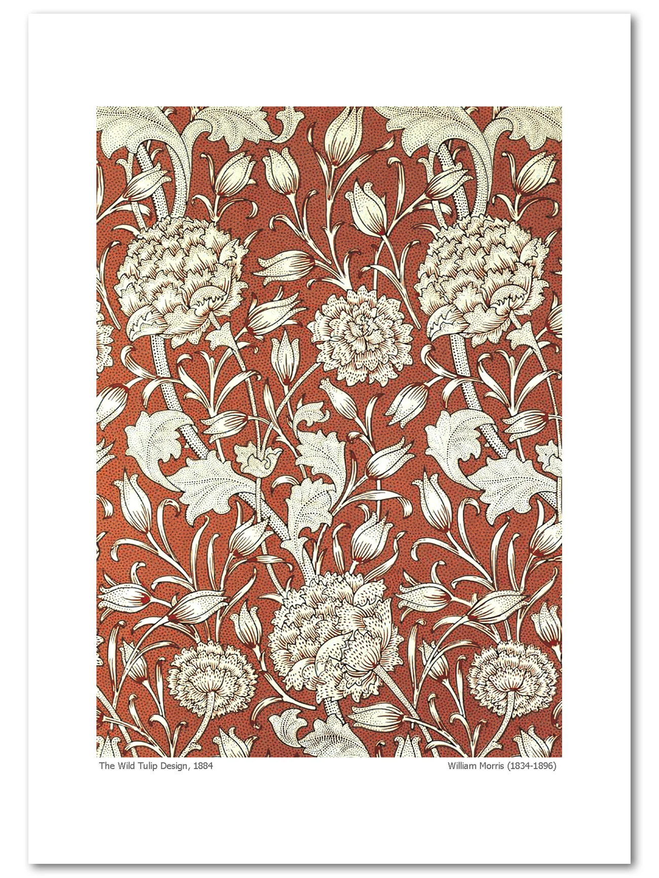 Wild-Tulip-William-Morris.jpg