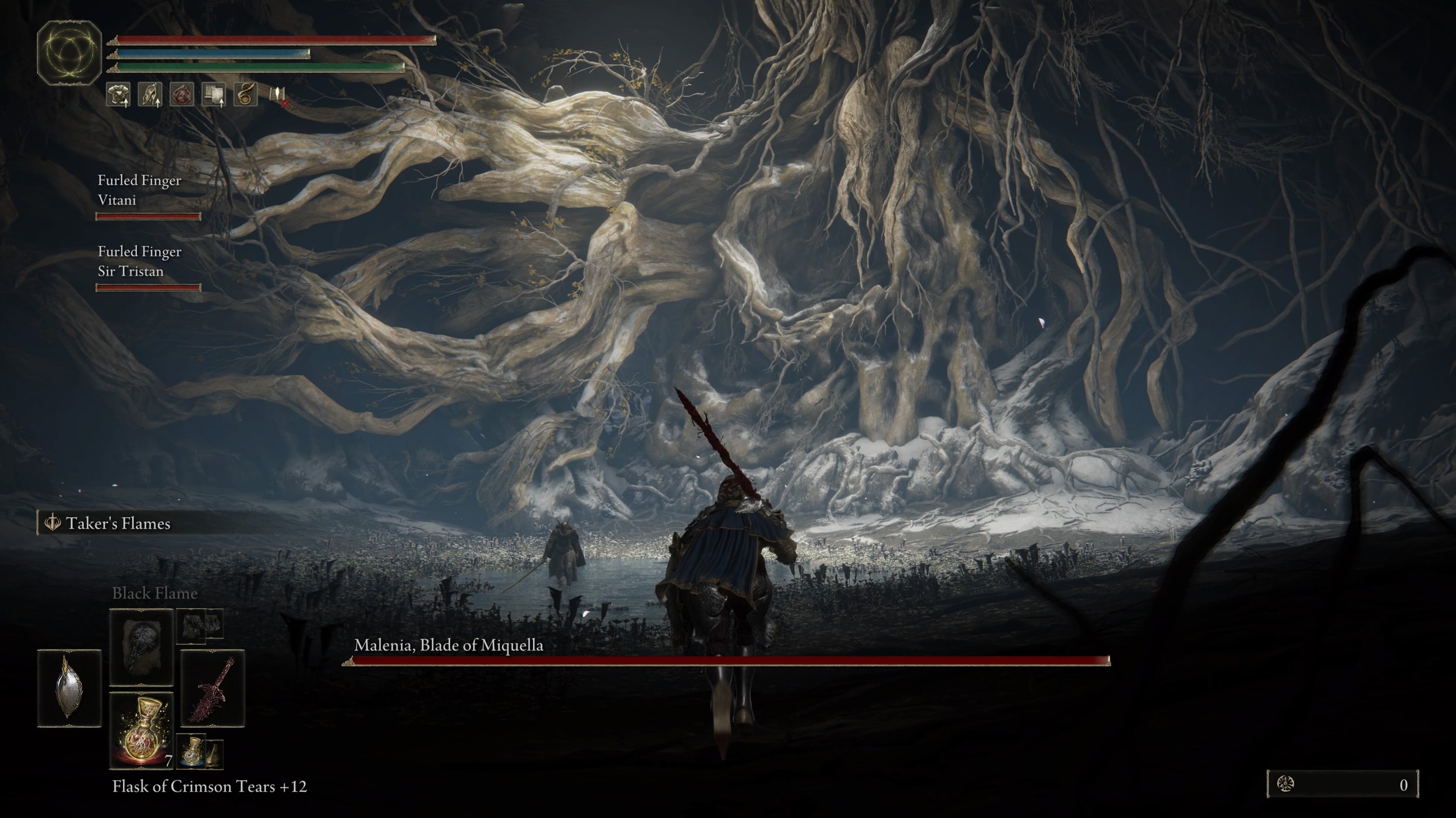 Elden Ring PS5 Screenshot (109).jpg