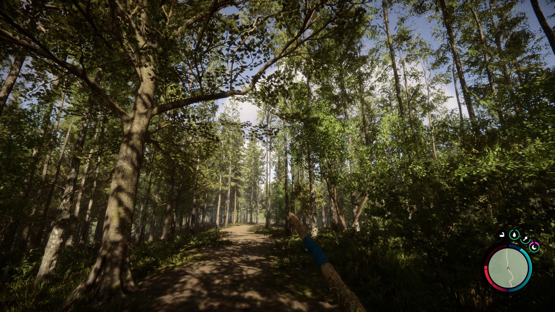 Sons of the Forest Steam Early Access Screenshot (7).jpg