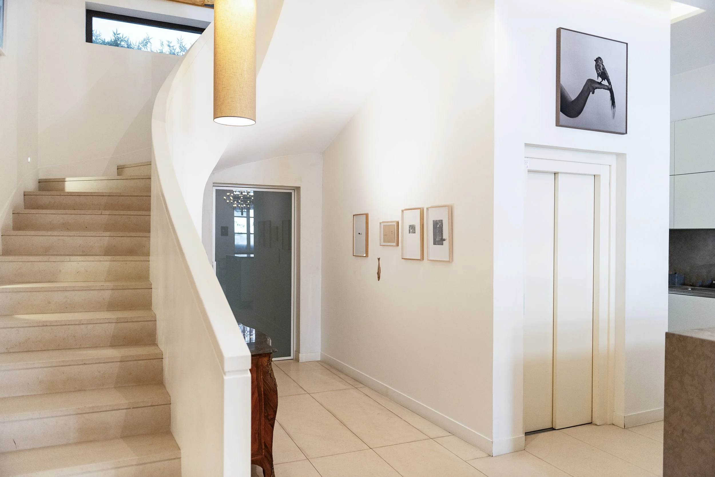 Fertile_Parole d'Animaux_Vues_Expos_ (15).jpg