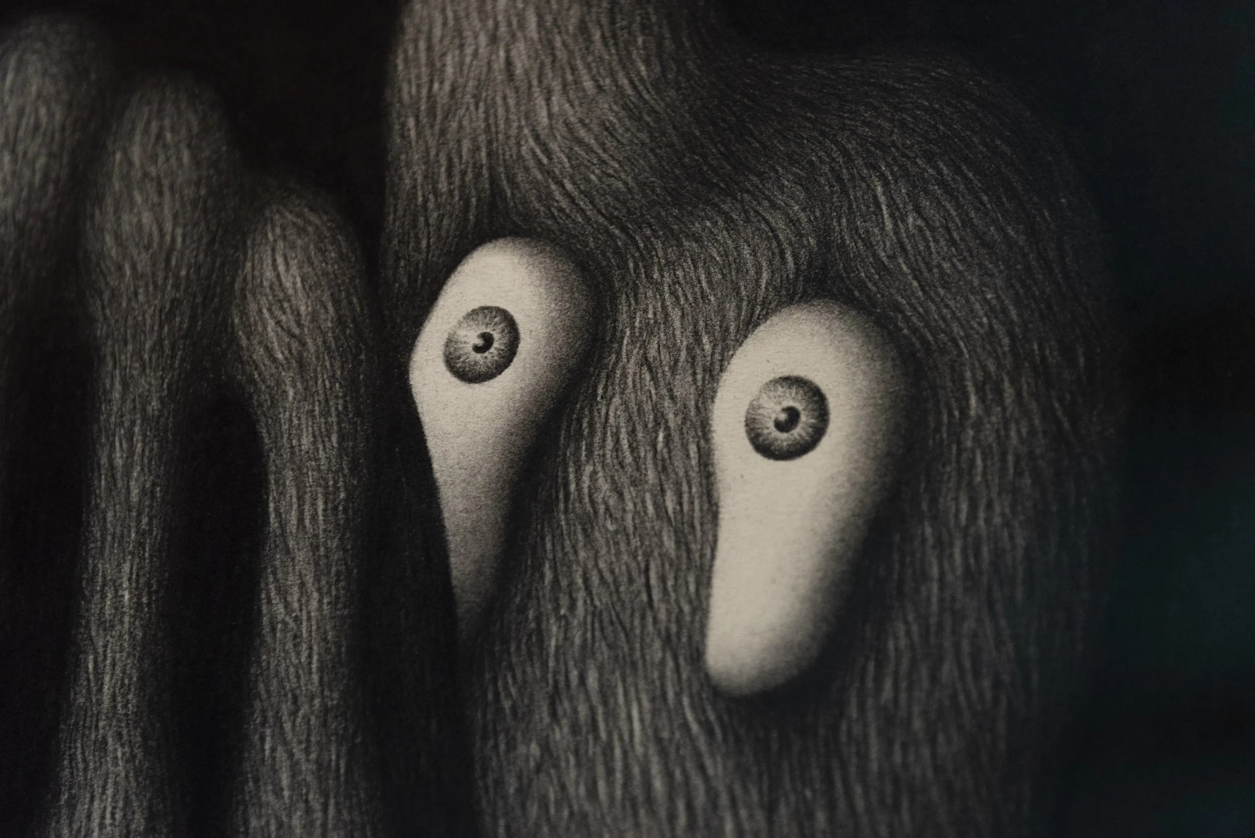 Fertile_Parole d'Animaux_Vues_Oeuvres_ (15).jpg