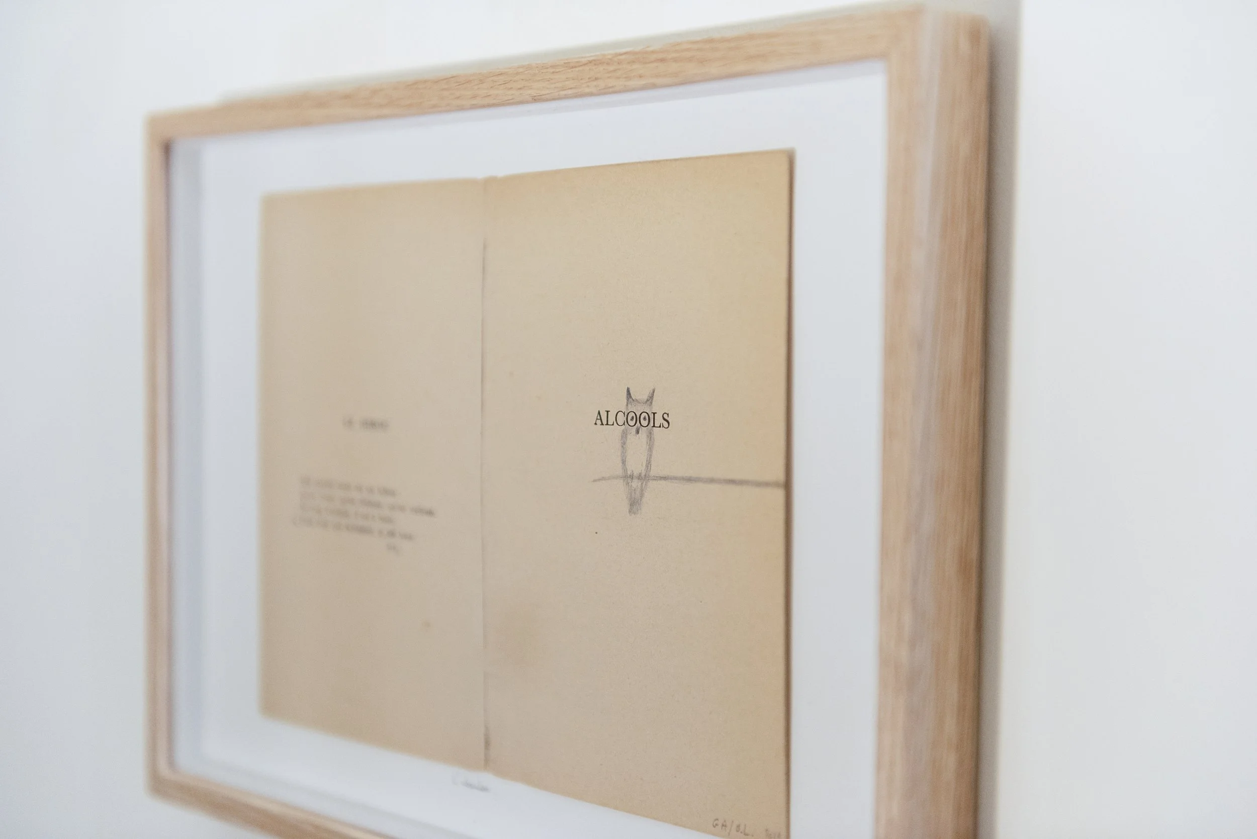 Fertile_Parole d'Animaux_Vues_Oeuvres_ (22).jpg