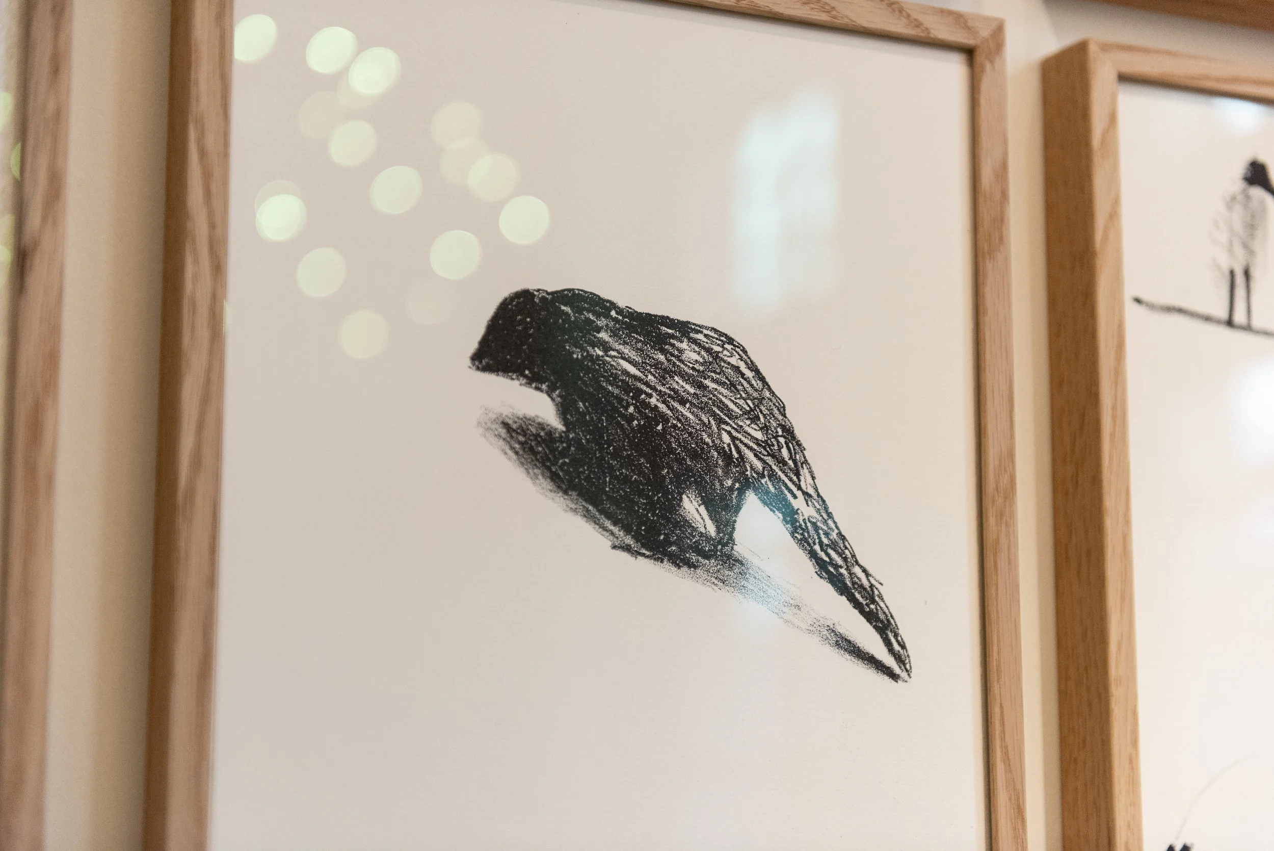 Fertile_Parole d'Animaux_Vues_Oeuvres_ (29).jpg