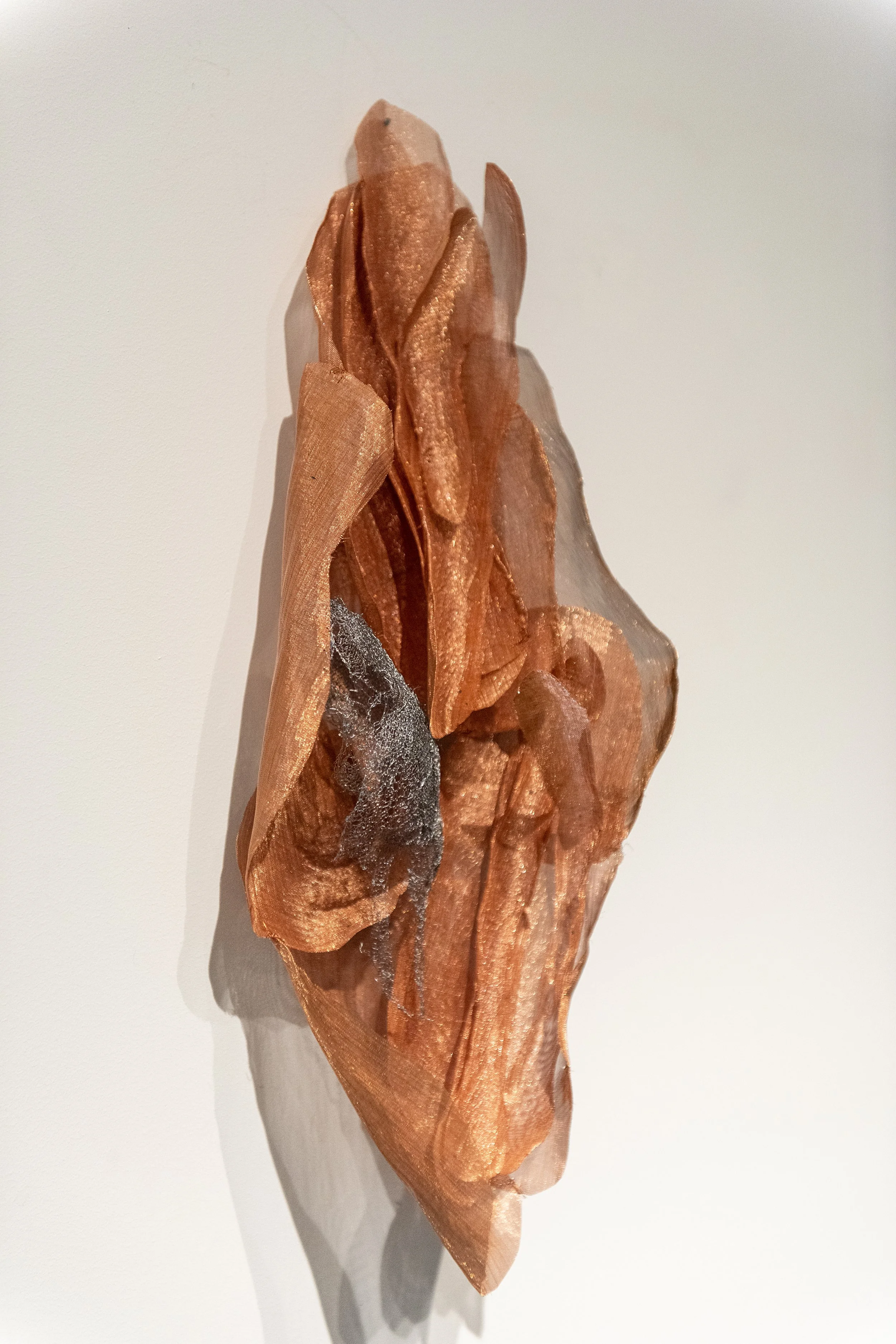 Fertile_Parole d'Animaux_Vues_Oeuvres_.jpg