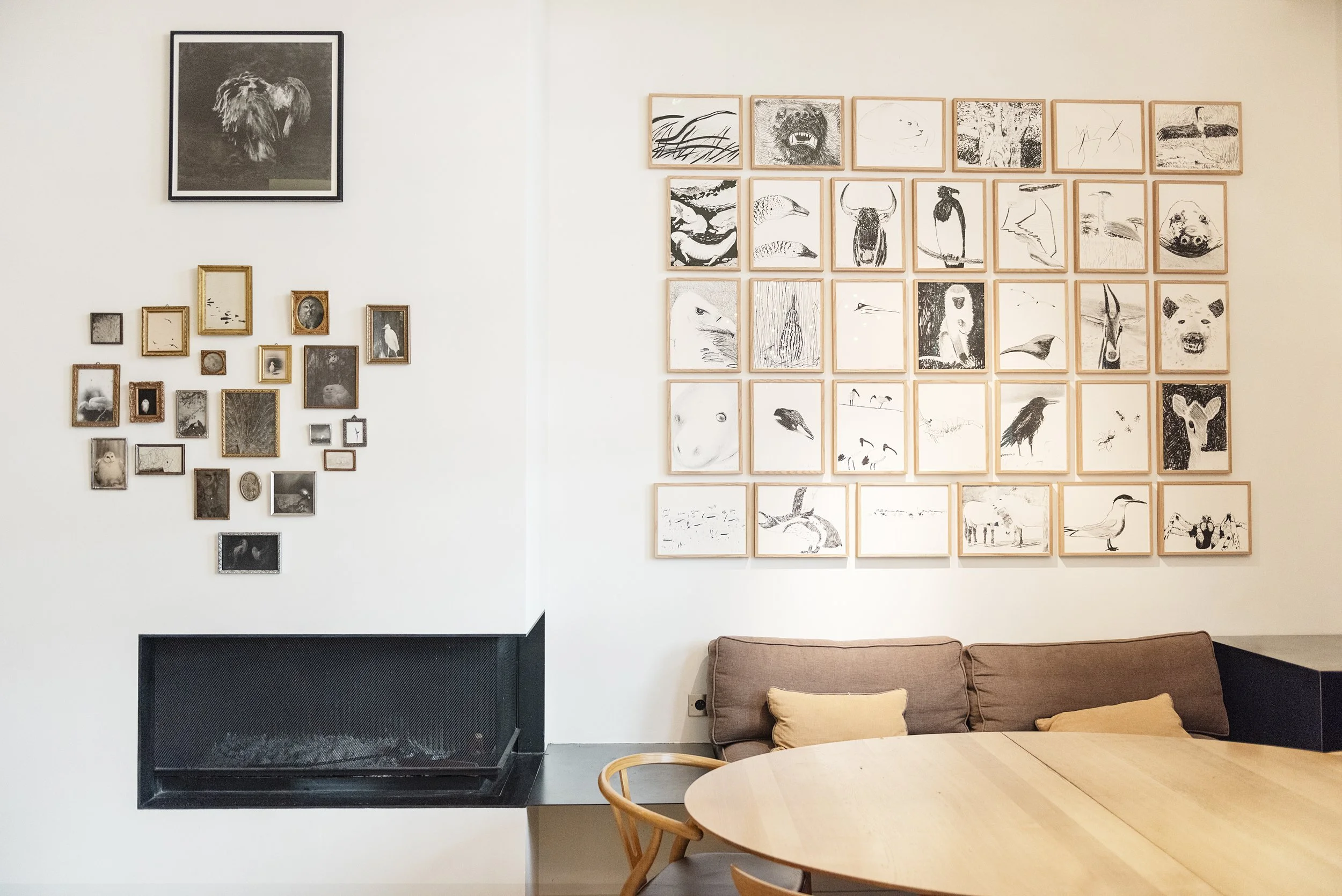 Fertile_Parole d'Animaux_Vues_Expos_ (27).jpg