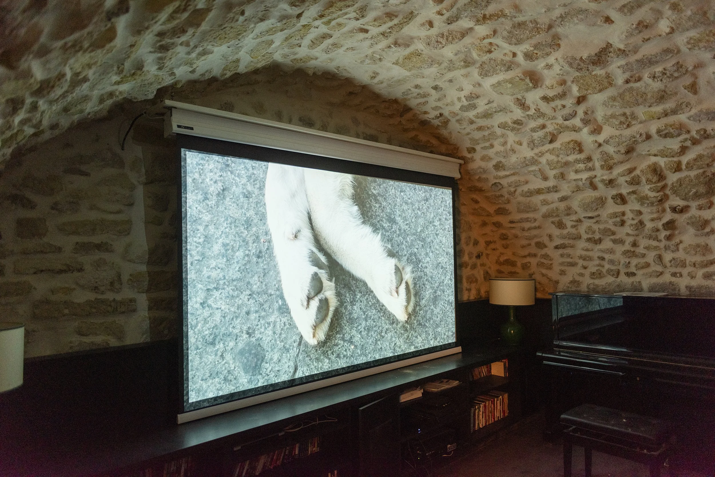 Fertile_Parole d'Animaux_Vues_Oeuvres_ (33).jpg