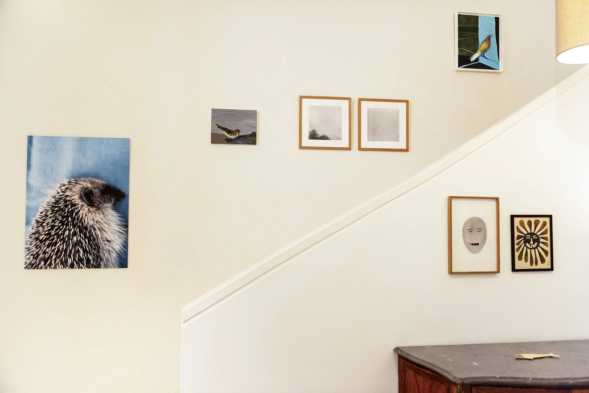 Fertile_Parole d'Animaux_Vues_Expos_ (16).jpg