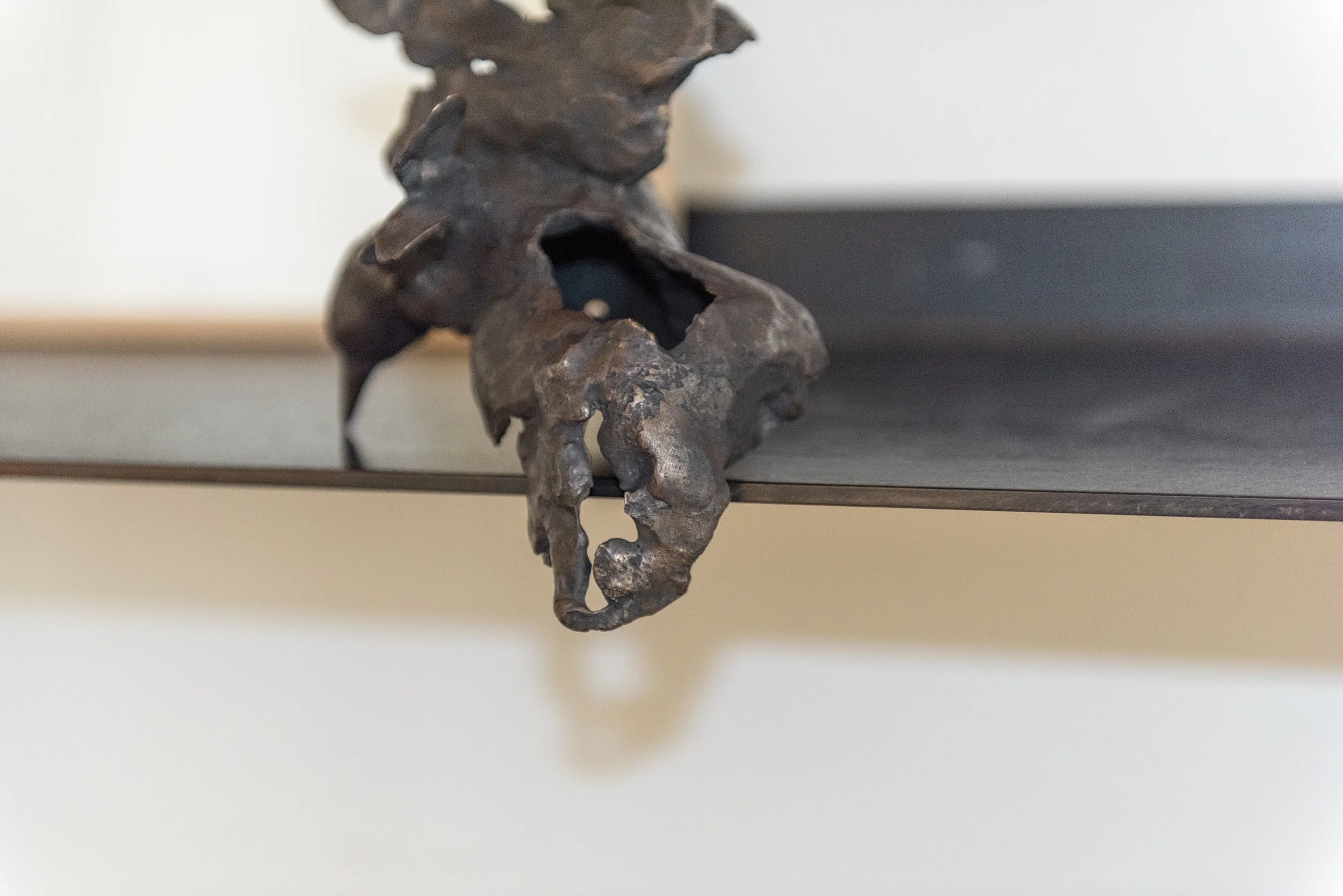 Fertile_Parole d'Animaux_Vues_Oeuvres_ (1).jpg