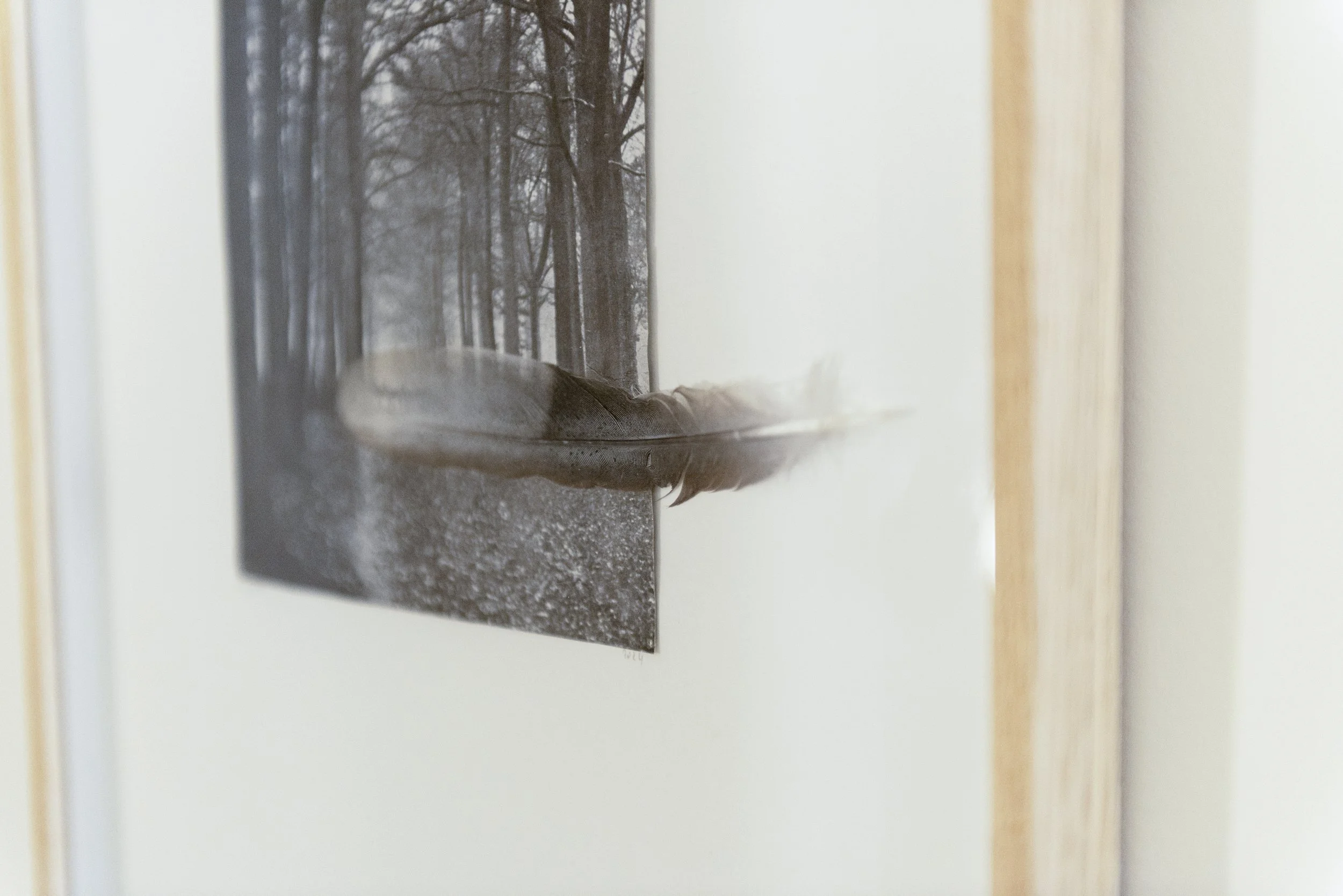 Fertile_Parole d'Animaux_Vues_Oeuvres_ (23).jpg