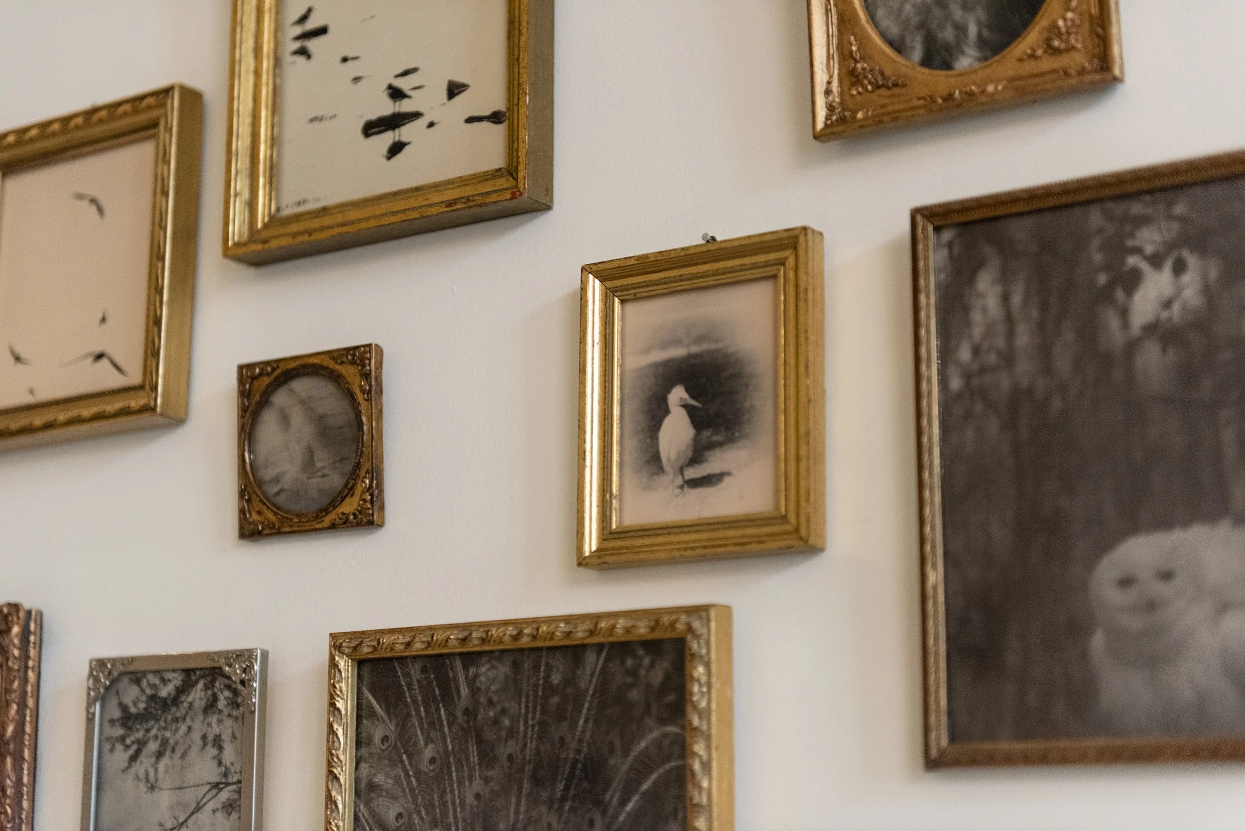 Fertile_Parole d'Animaux_Vues_Oeuvres_ (28).jpg