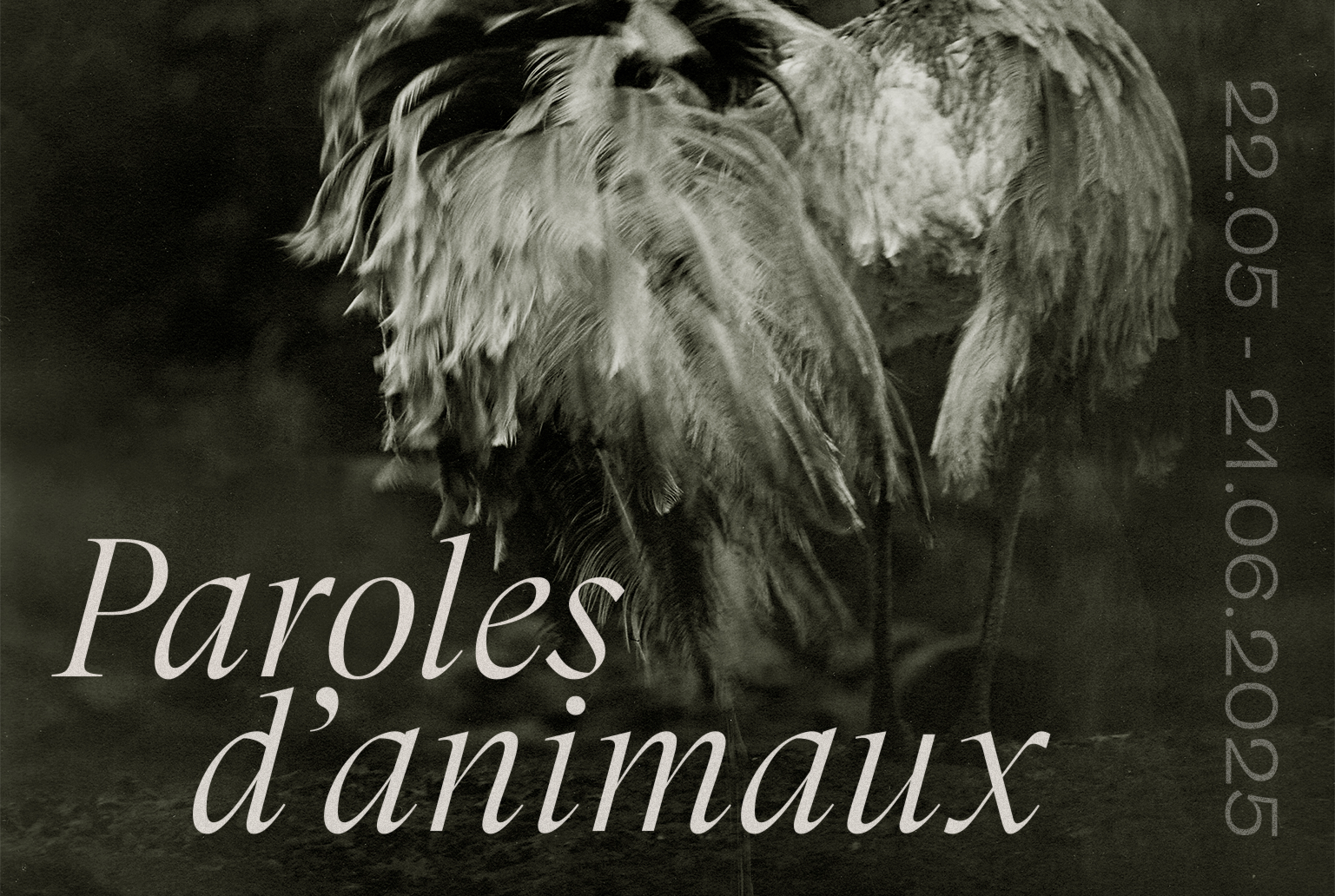 Exposition “Paroles d’animaux”