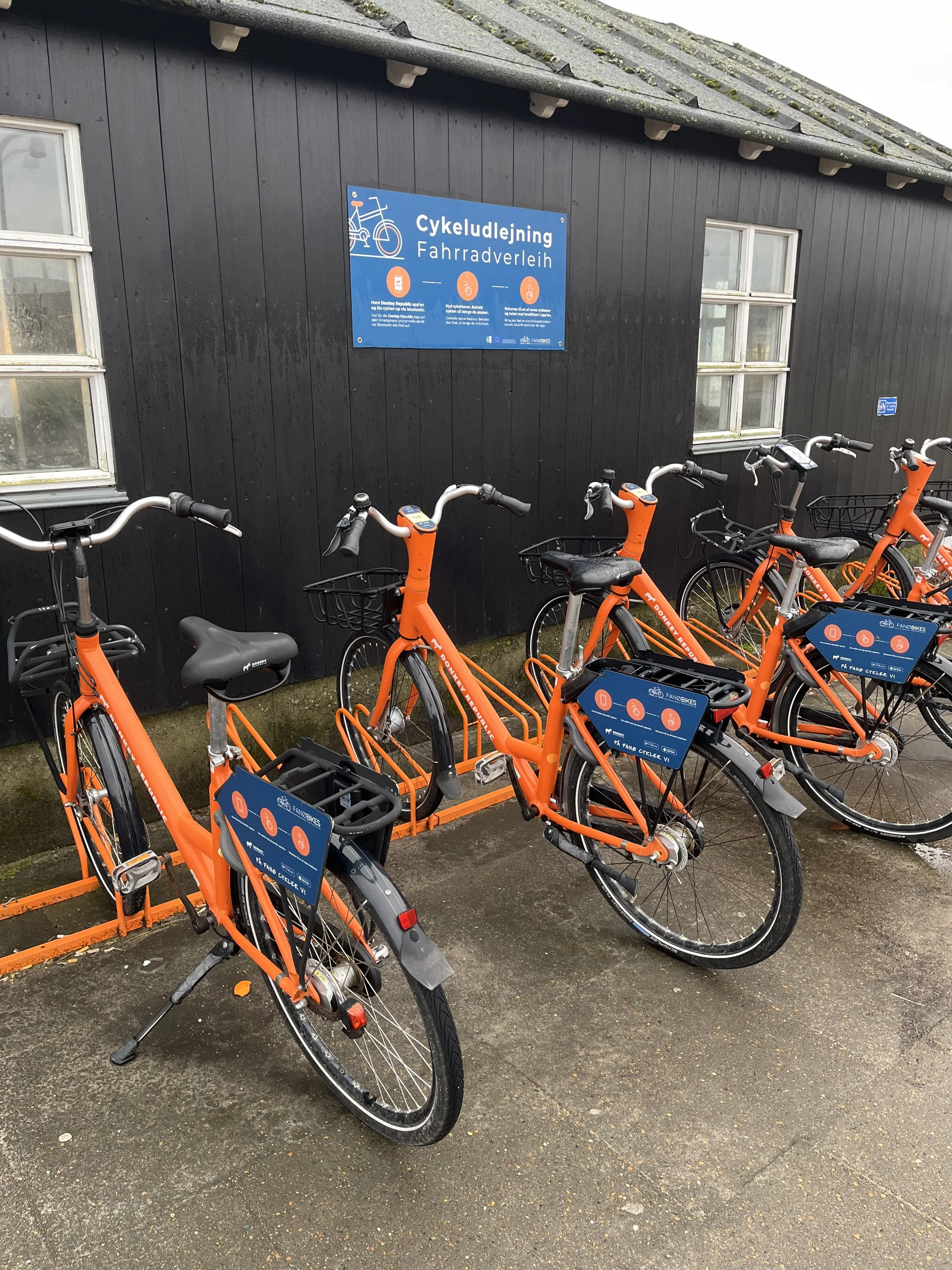 Cykeludlejning Fanø