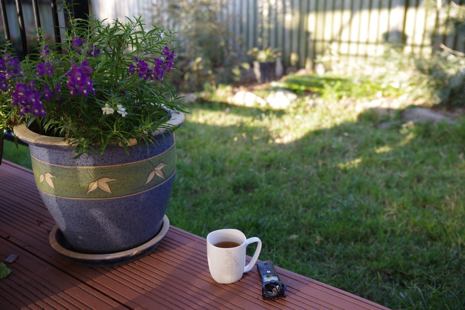Pot plant with tea cup and voice recorder for meditations
