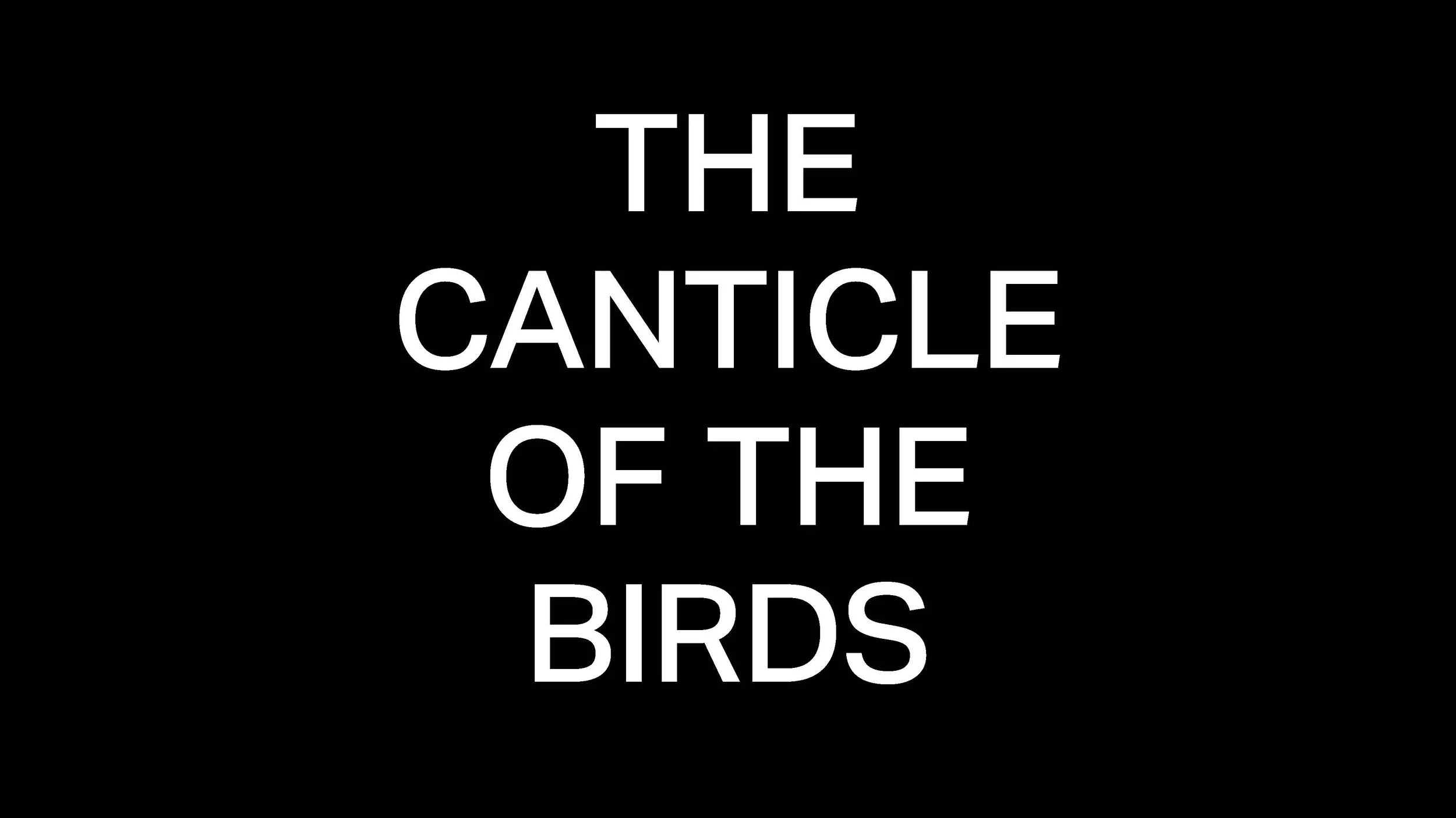 Series - The Canticle Of The Birds - 01.jpg