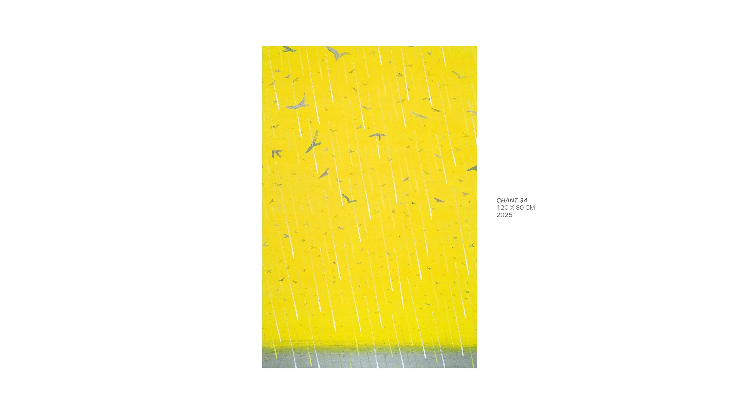 Series - The Canticle Of The Birds - 02.jpg