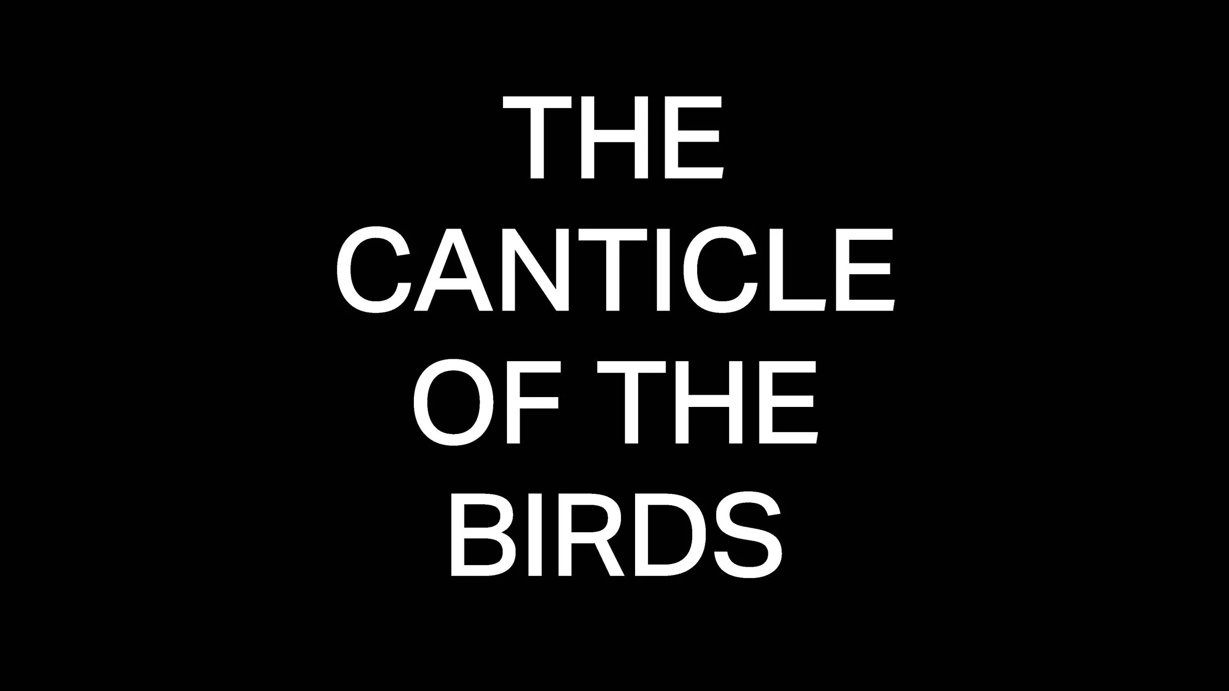 Series - The Canticle Of The Birds - 01.jpg