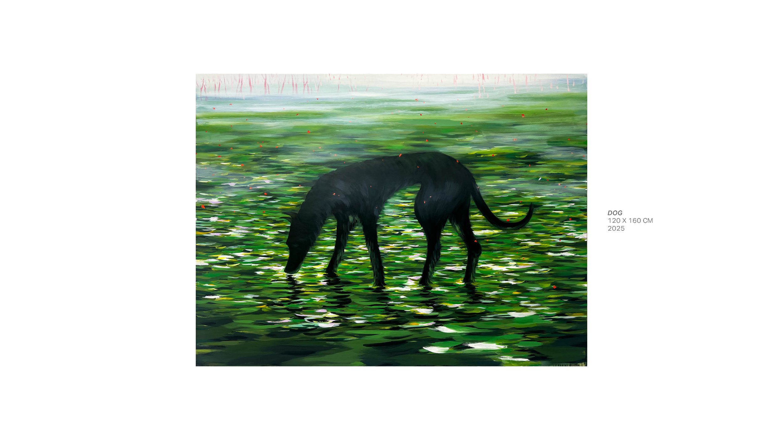 Series - Animal Kingdom- 02.jpg