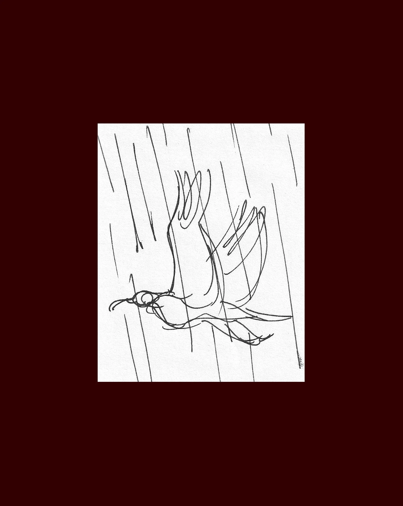 Eliot Shahmiri - Peace (drawing)