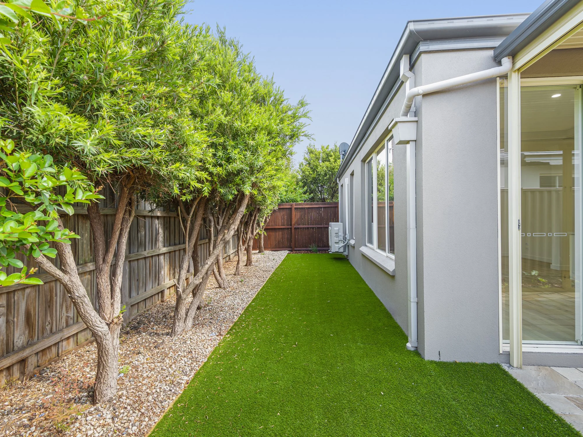 20260224-CFT_8732 1.jpg