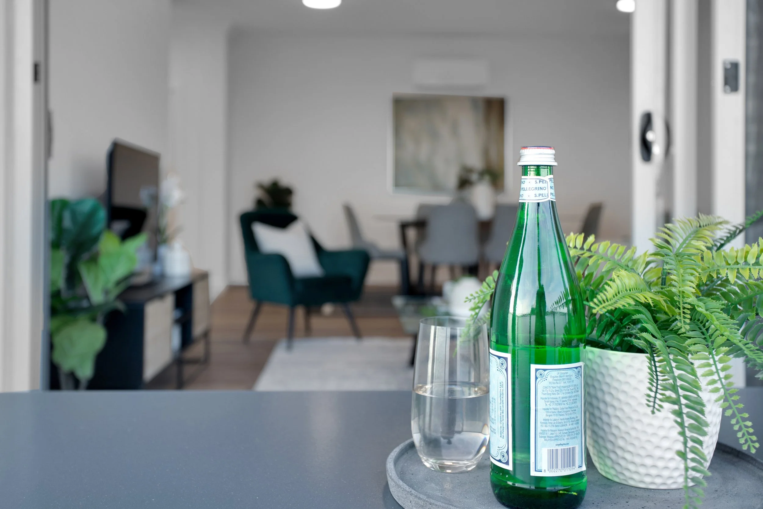 APT 190 BALCONY LIVING AREA.jpg