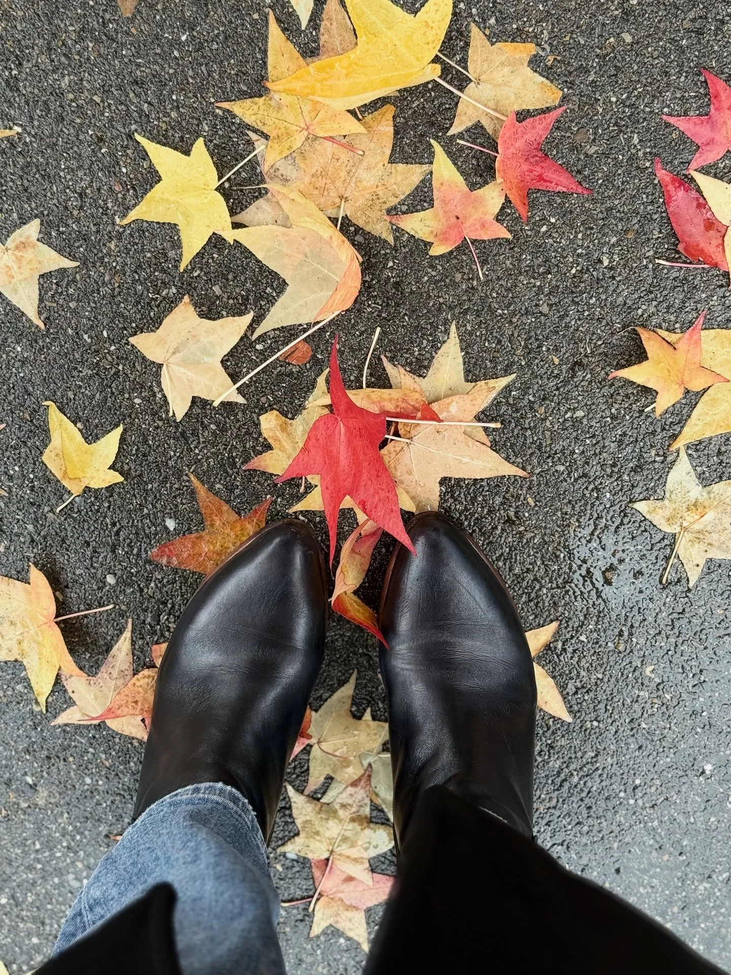 🫴Weil ich diesen Spruch so sehr mag, bekommt er von mir einen eigenen Beitrag. 

👏Feiere dich selbst&hellip;Nicht f&uuml;r das, was andere sehen, sondern f&uuml;r das, was niemand mitbekommen hat.👌

Wer mag ihn auch ❓

📸👉gestern &amp;heute🍂

#h