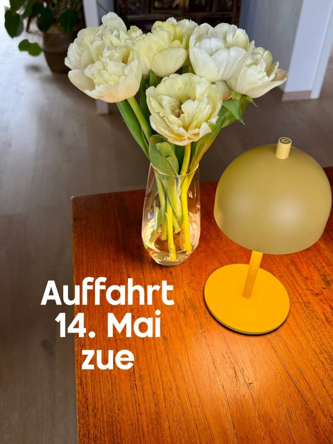 &Ouml;ffnungszeiten 💛

Samstags mit Kaffee und Kuchen 💛
💛ich back f&uuml;r euch 💛

#nachhaltig 
#kaffeekuchen 
#auffahrt 
#secondhanz&uuml;rich