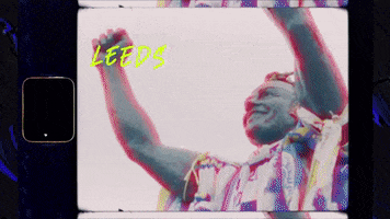 Leeds leeds leeds.gif