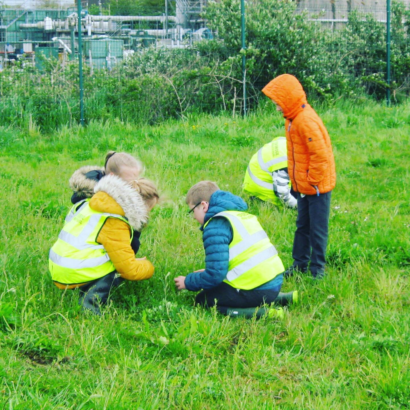 On Friday we took our first school visit to a solar farm for such a very long time! It was a bit windy and a bit rainy but everyone had an amazing time exploring how solar farms generate electricity AND how solar farm sites can be managed to improve 