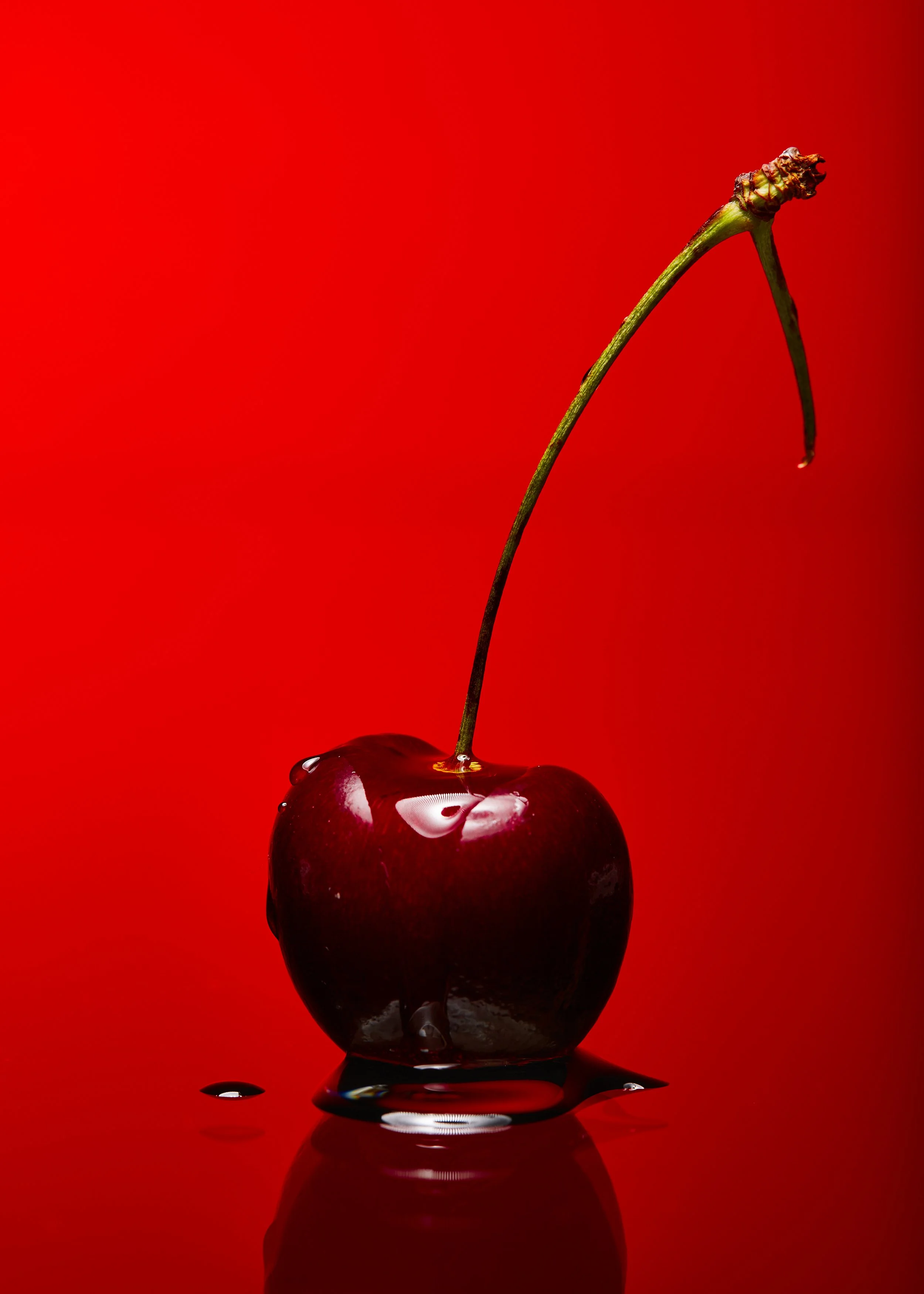 Cereza negra con gotas de agua en un fondo rojo