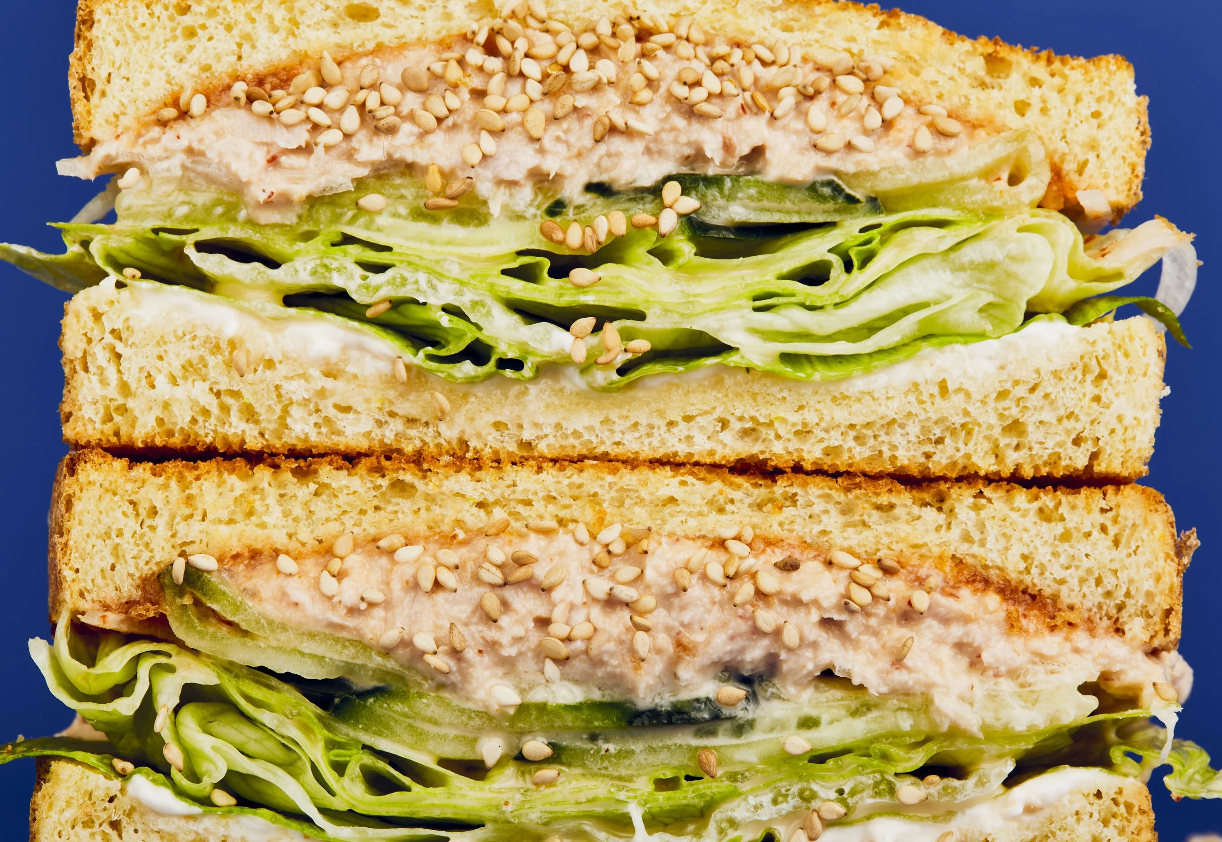light test sandwich1325 1.jpg