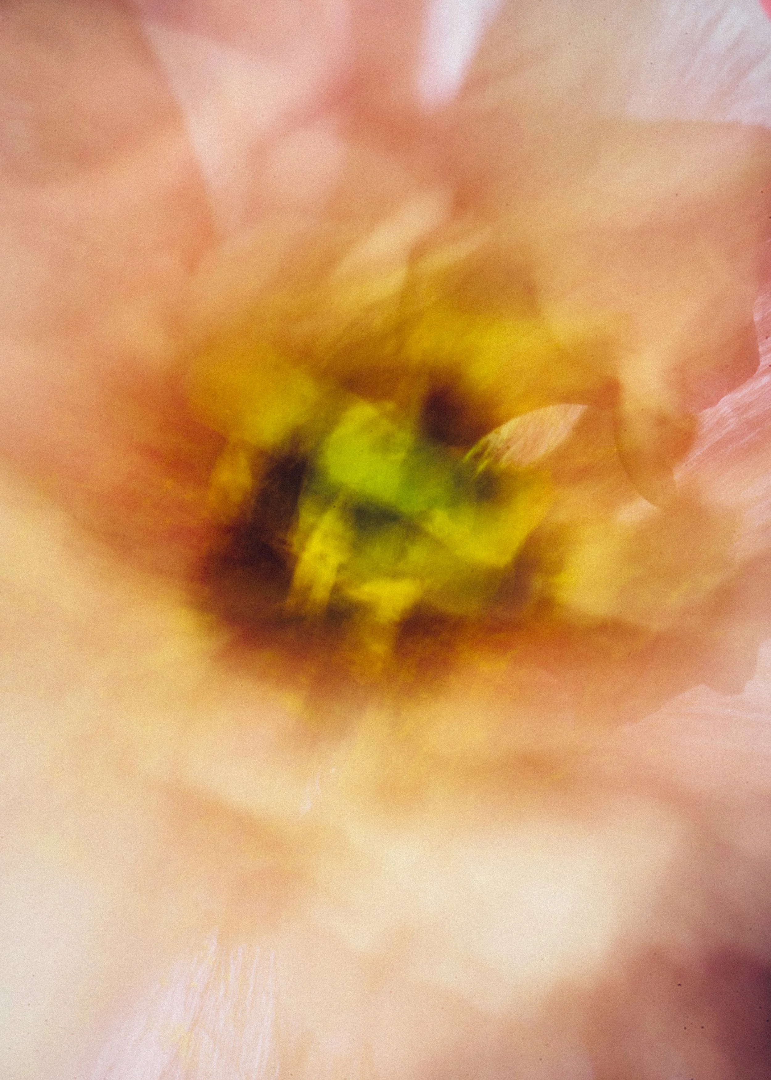 TestPROBE_0251.jpg