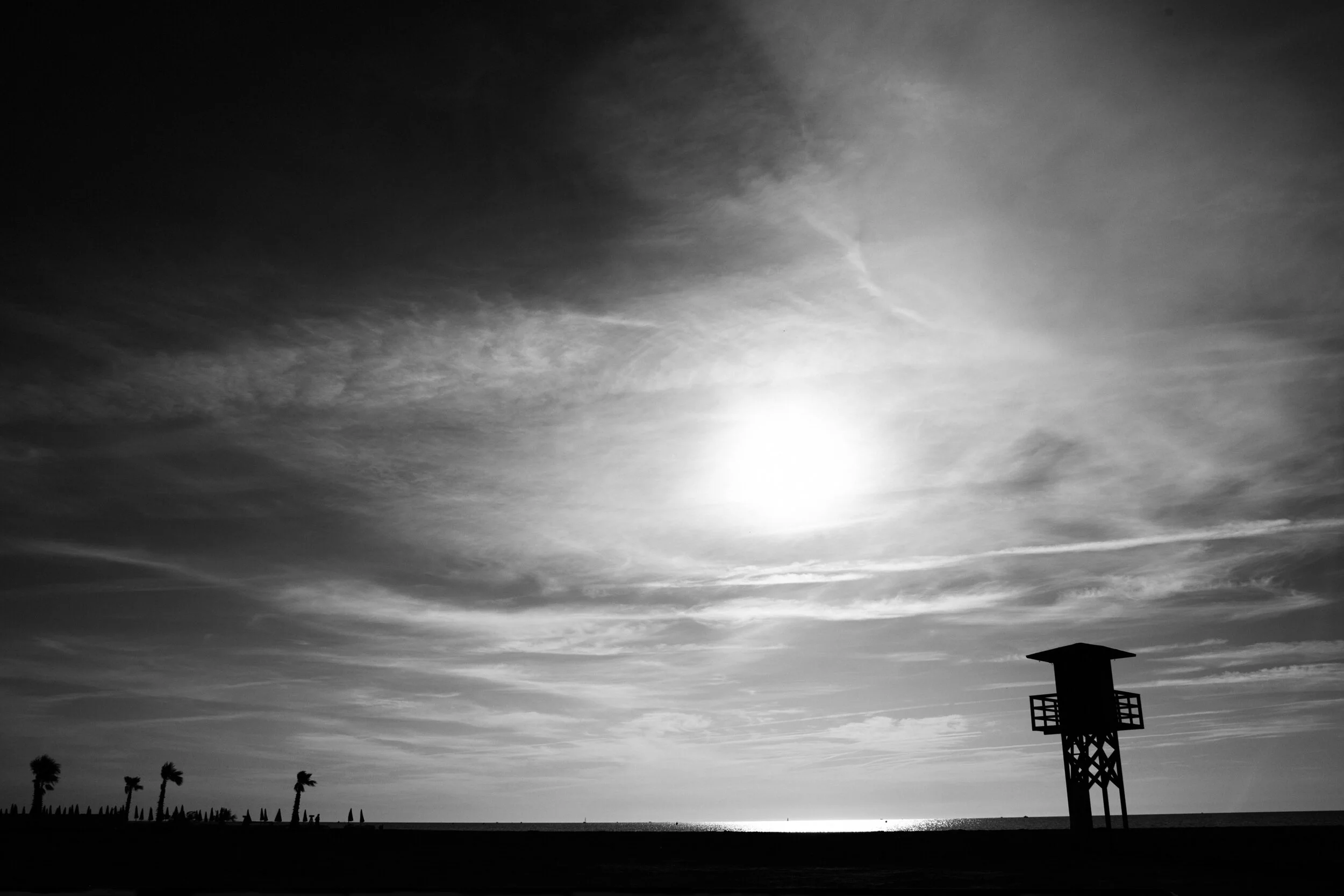 IMG_3377_MORGAN_POGIONY_LA_BEACH.jpg