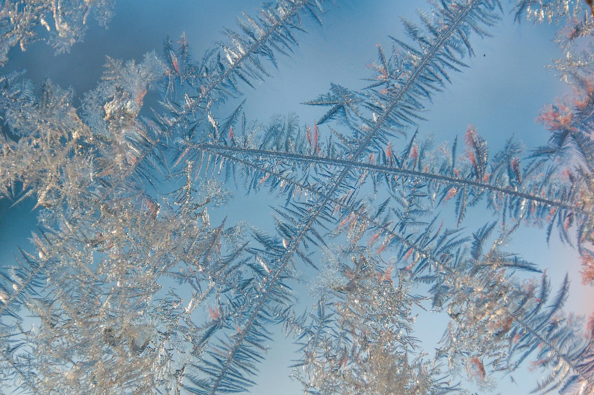 Wintering