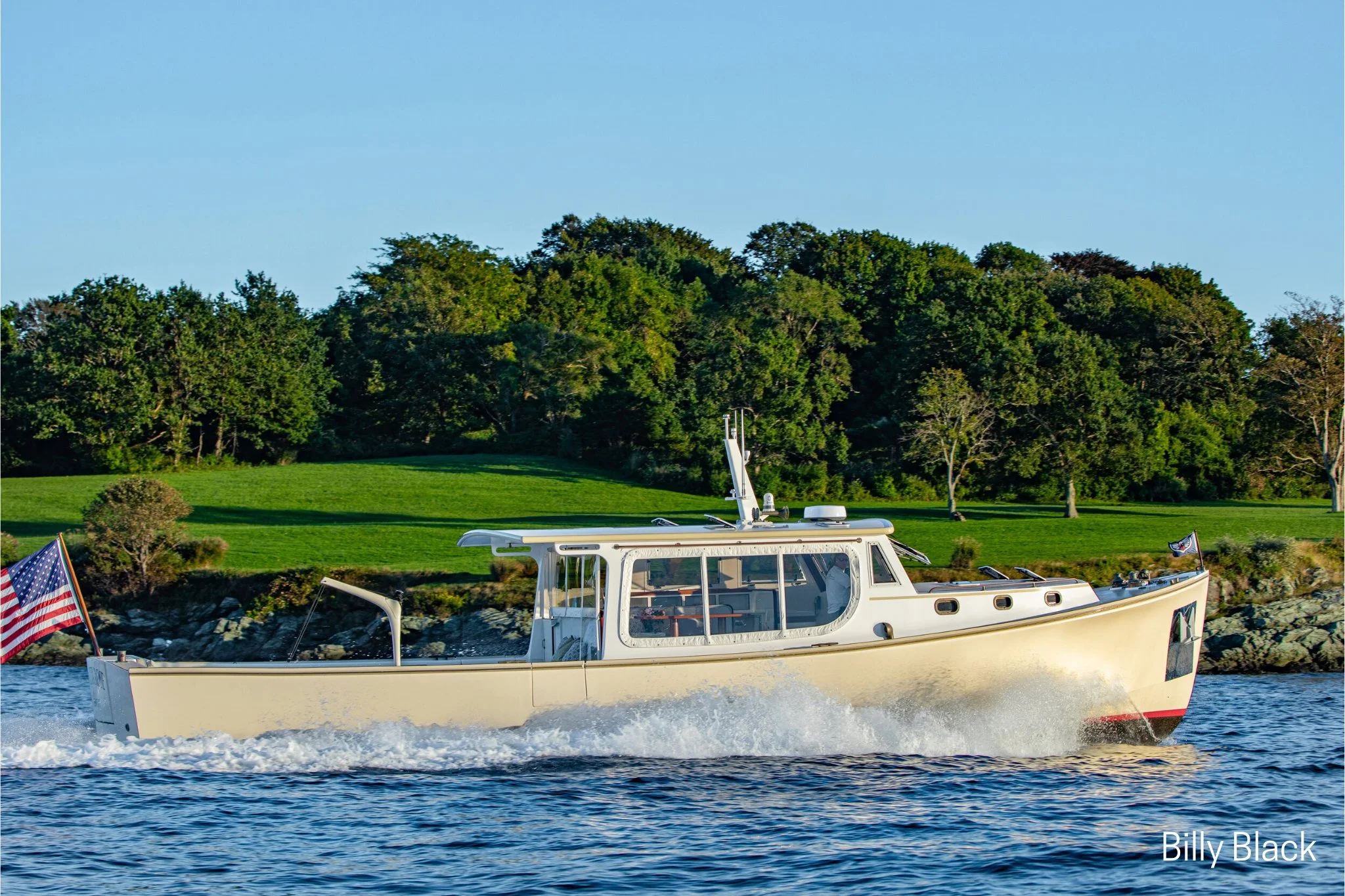 Pretti Rose Billy Black.jpeg