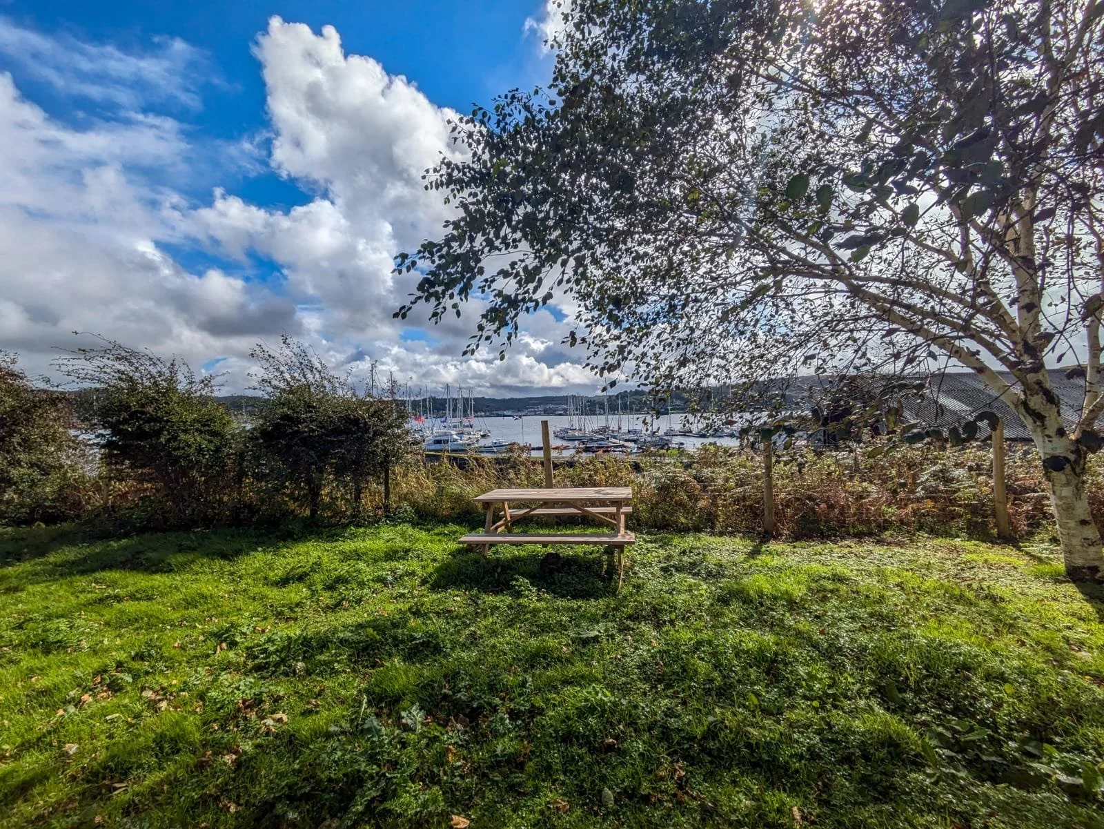 A picnic table on a grassy area overlooking a marina with sailboats, with trees and a cloudy sky in the background.