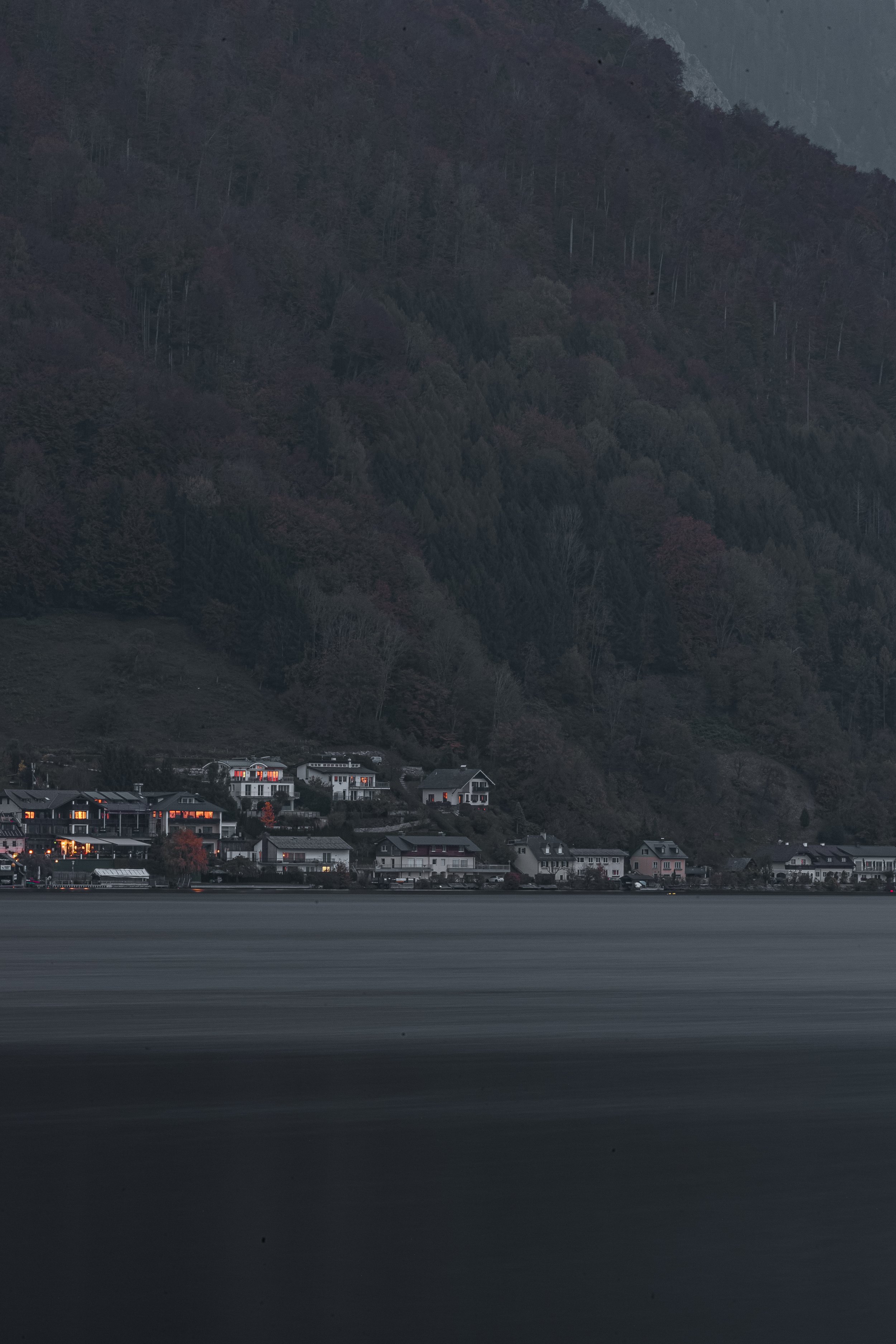 _MG_8111.jpg