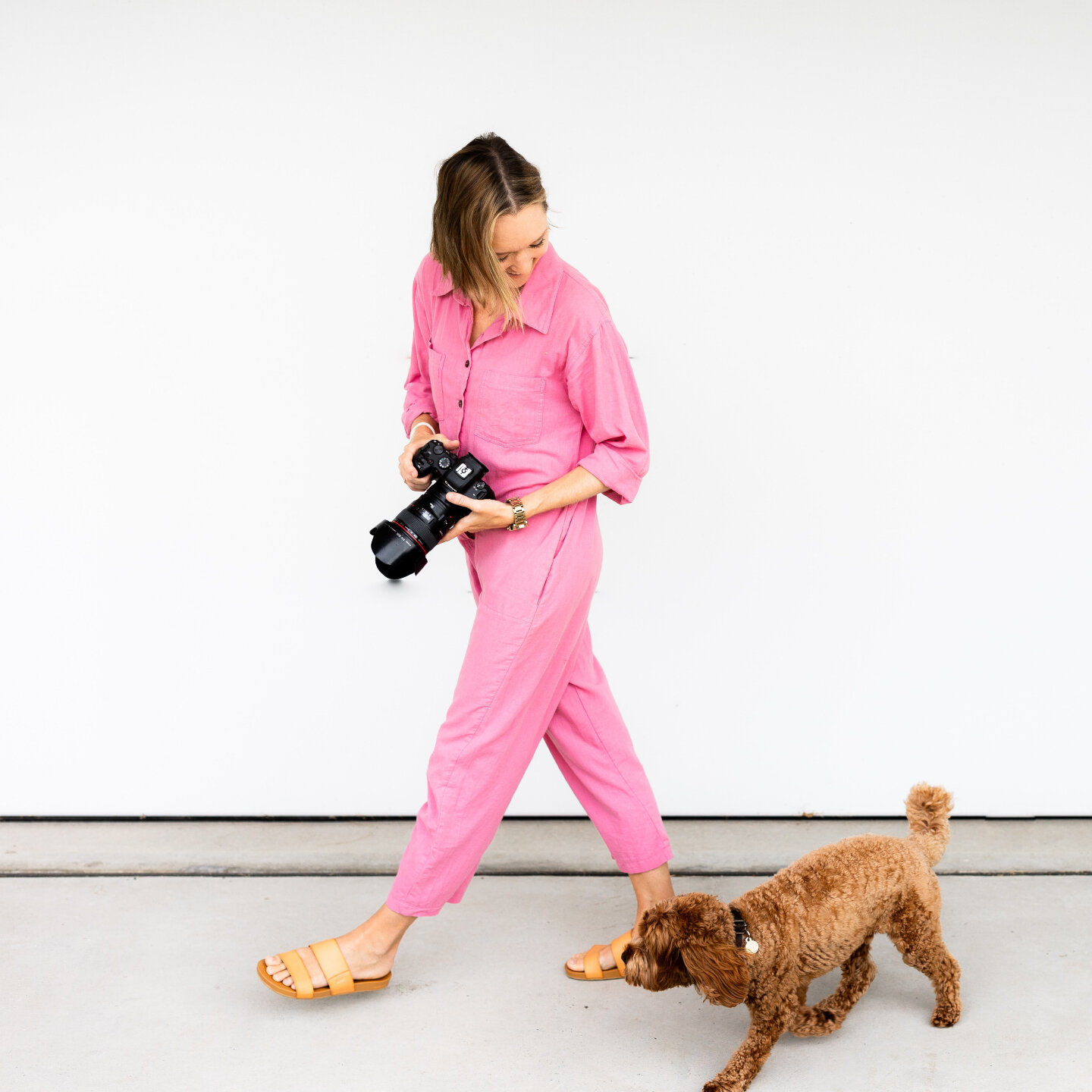 Meet my adorable editing buddy &ndash; always ready to lend a helping &lsquo;paw&rsquo; with the final touches! 🐾🥰

#caitlinamyphotography #centralcoastweddingvenue #centralcoastweddingphotographer #newcastleweddingphotographer #huntervalleywedding