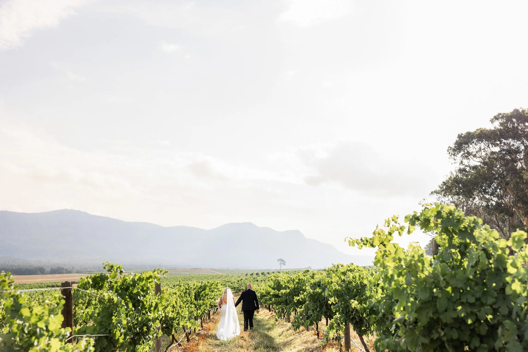 Hunter Valley Wedding Photographer-34.jpg