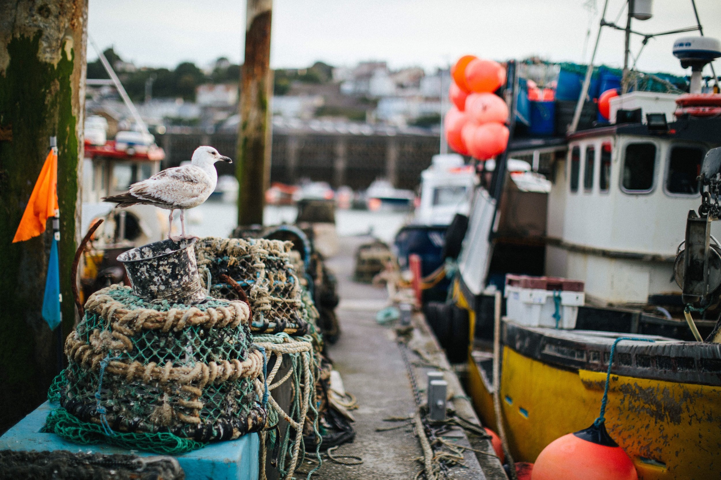 Guernsey Woollens photography fishing model 