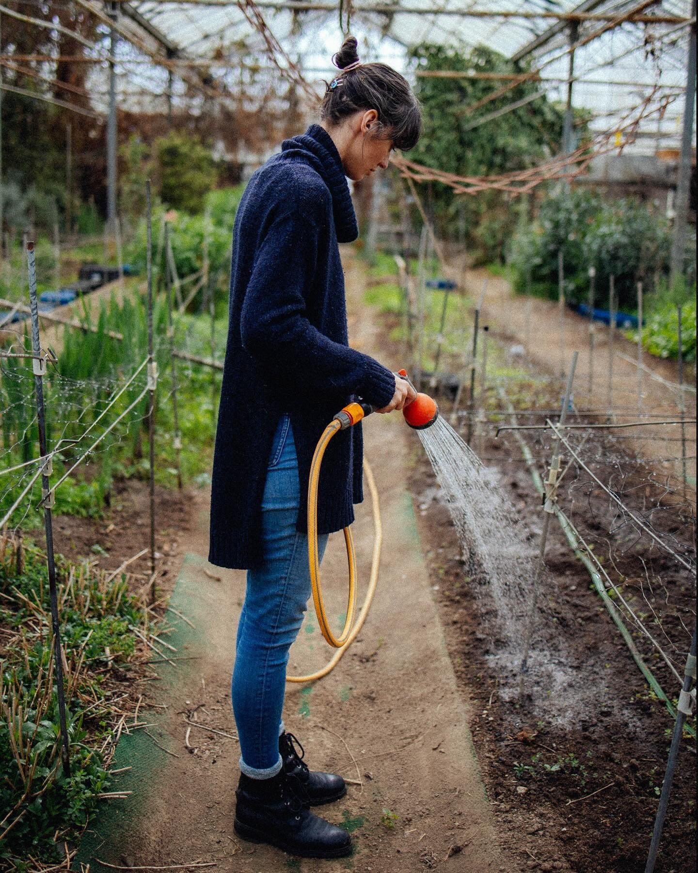 Things are happening in the greenhouse. Mostly little seedlings getting munched on. 🫣