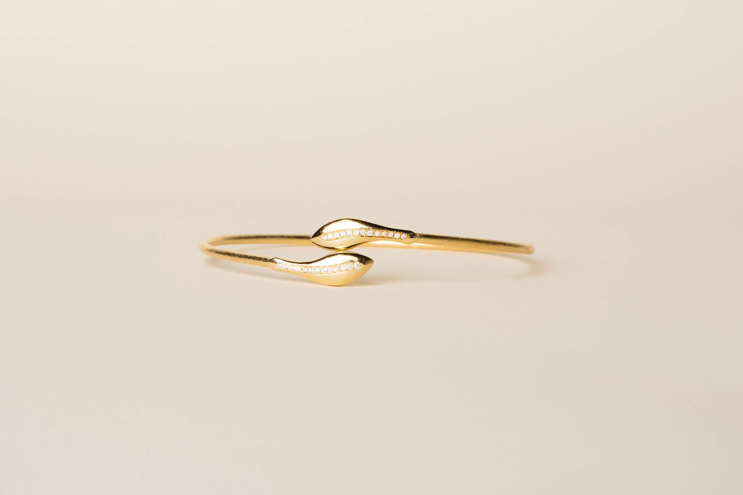 Rebirth Bangle
